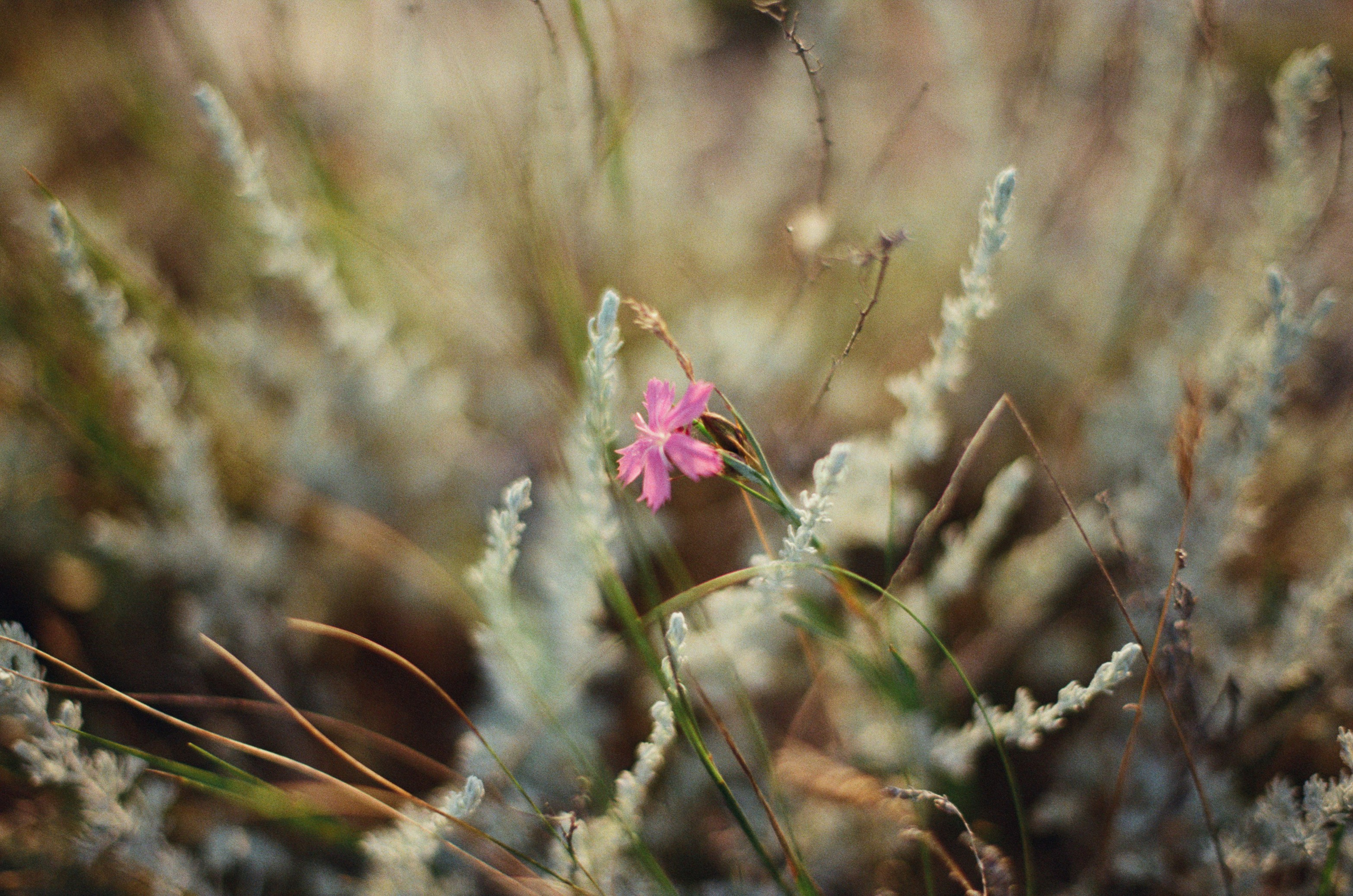 Silent running // ukraine, crimea III. EVER EXPOSED