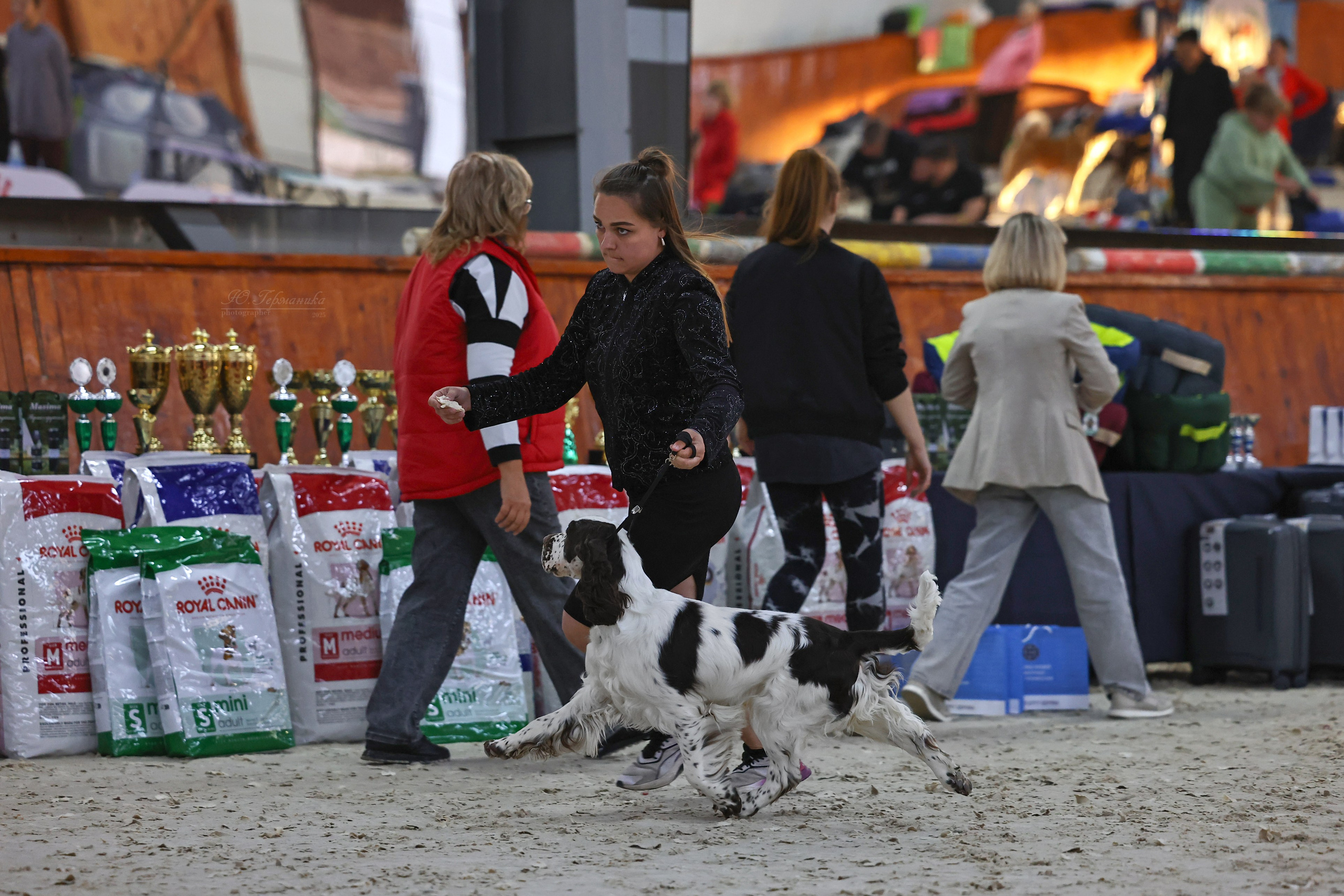 Астана 2хCACIB 26-28.09.2025. Фотограф-анималист Юлия Германика