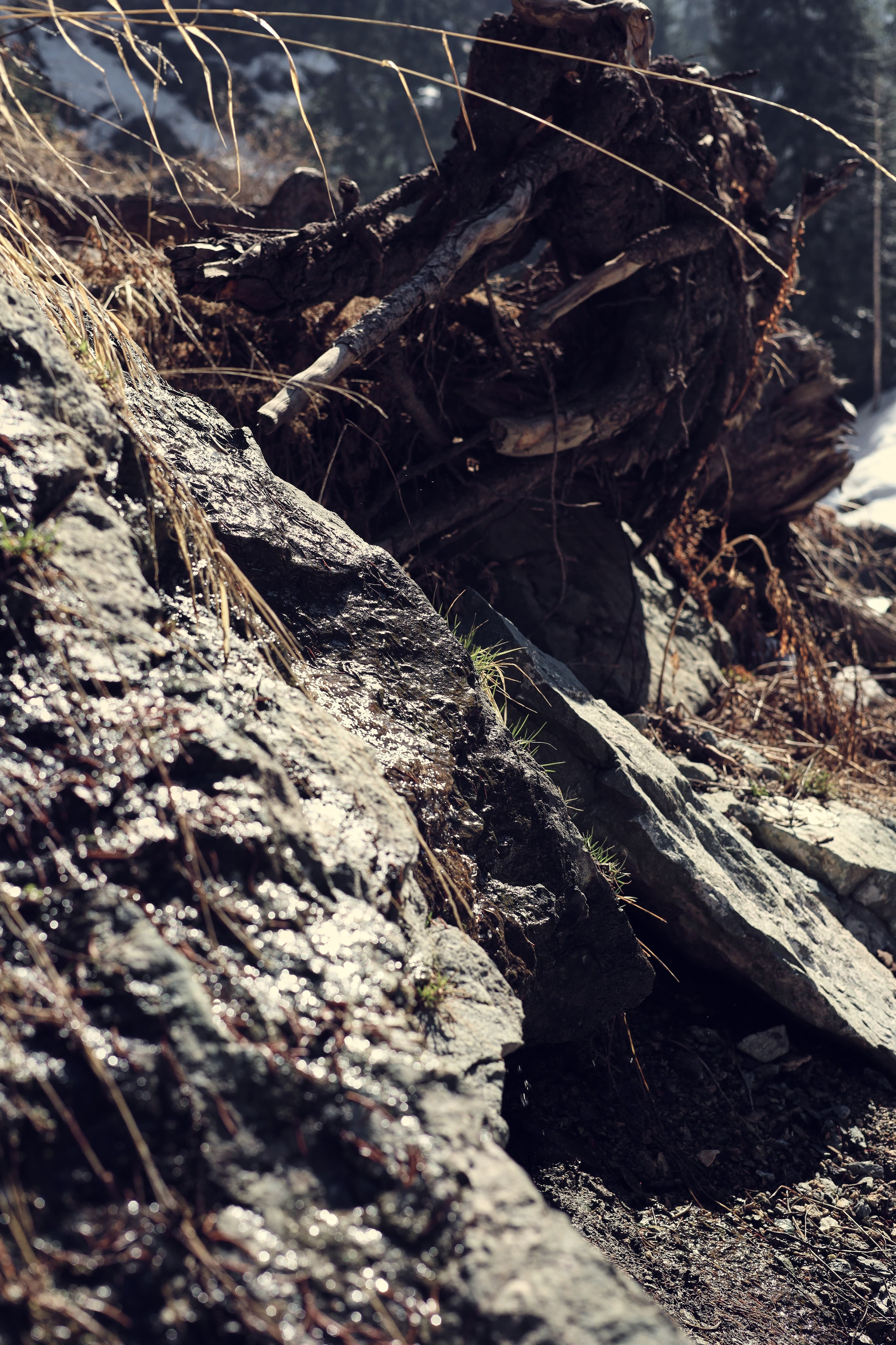 | Девичьи Слезы |. Фотограф |Алматы | Ruslan Zhadigerov