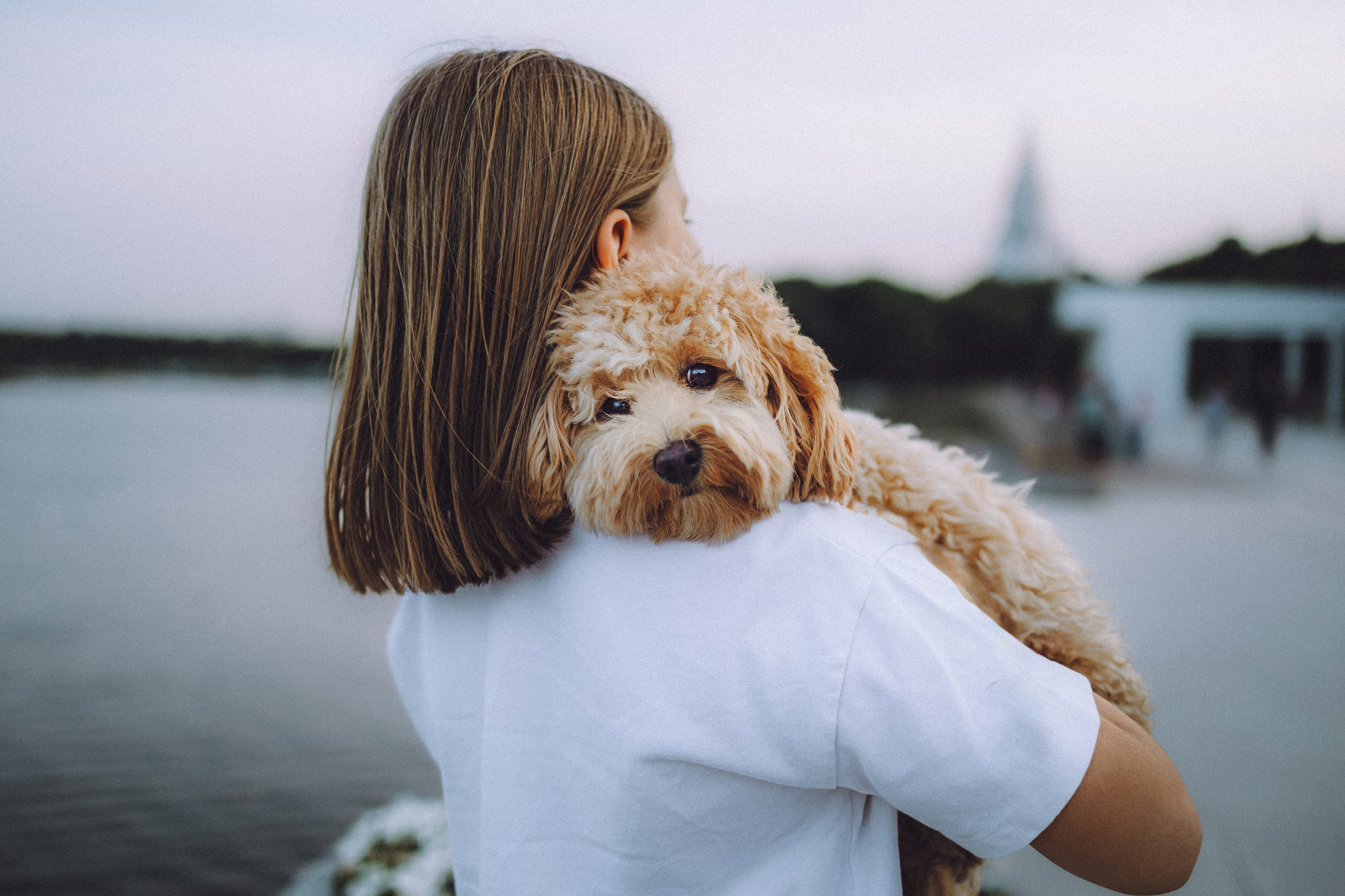 Фред и его семья