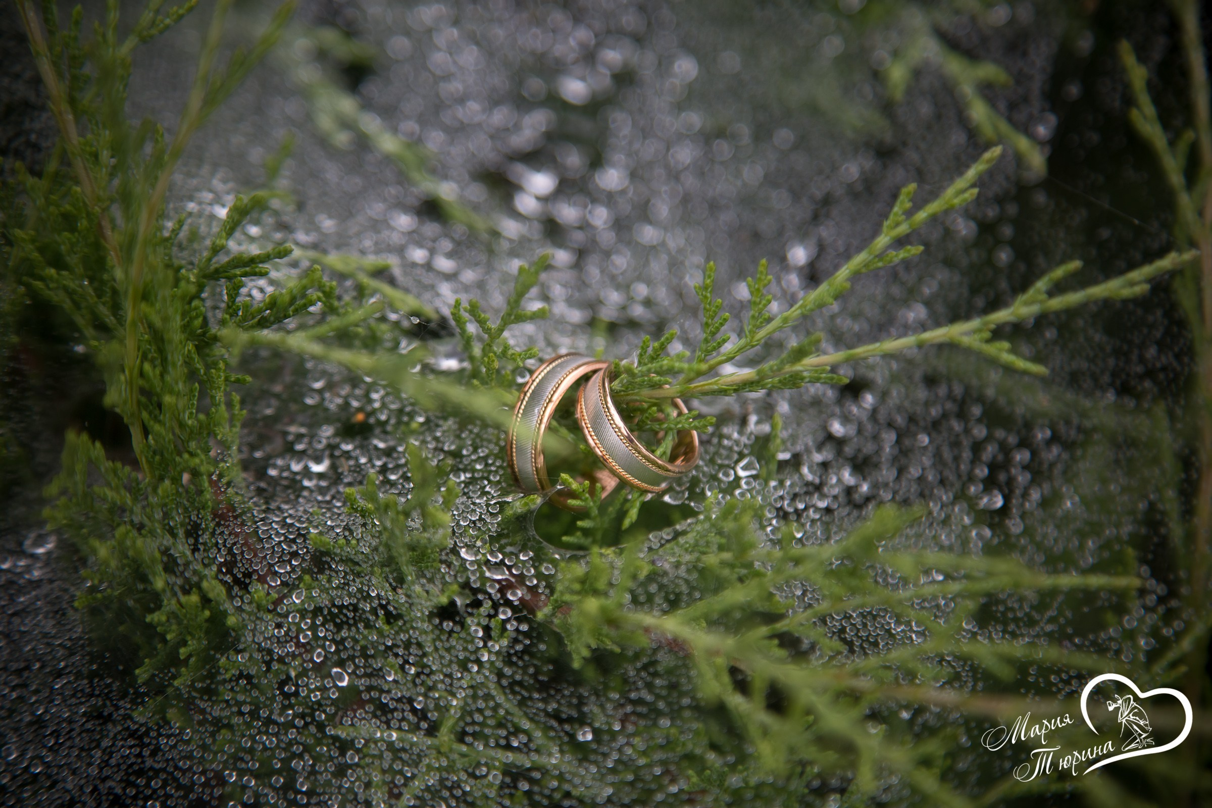 Свадебная фотосъёмка в Москве, Туле