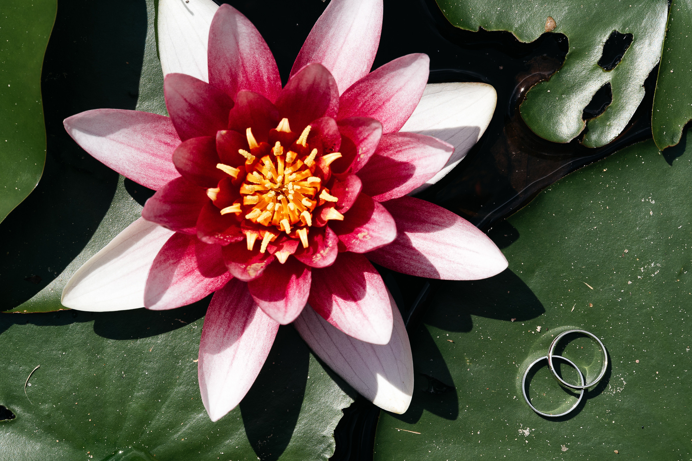 Мы не БОИМСЯ!. Олег и Мария Ивановы фотограф и видеограф в Пскове Санкт - Петербурге