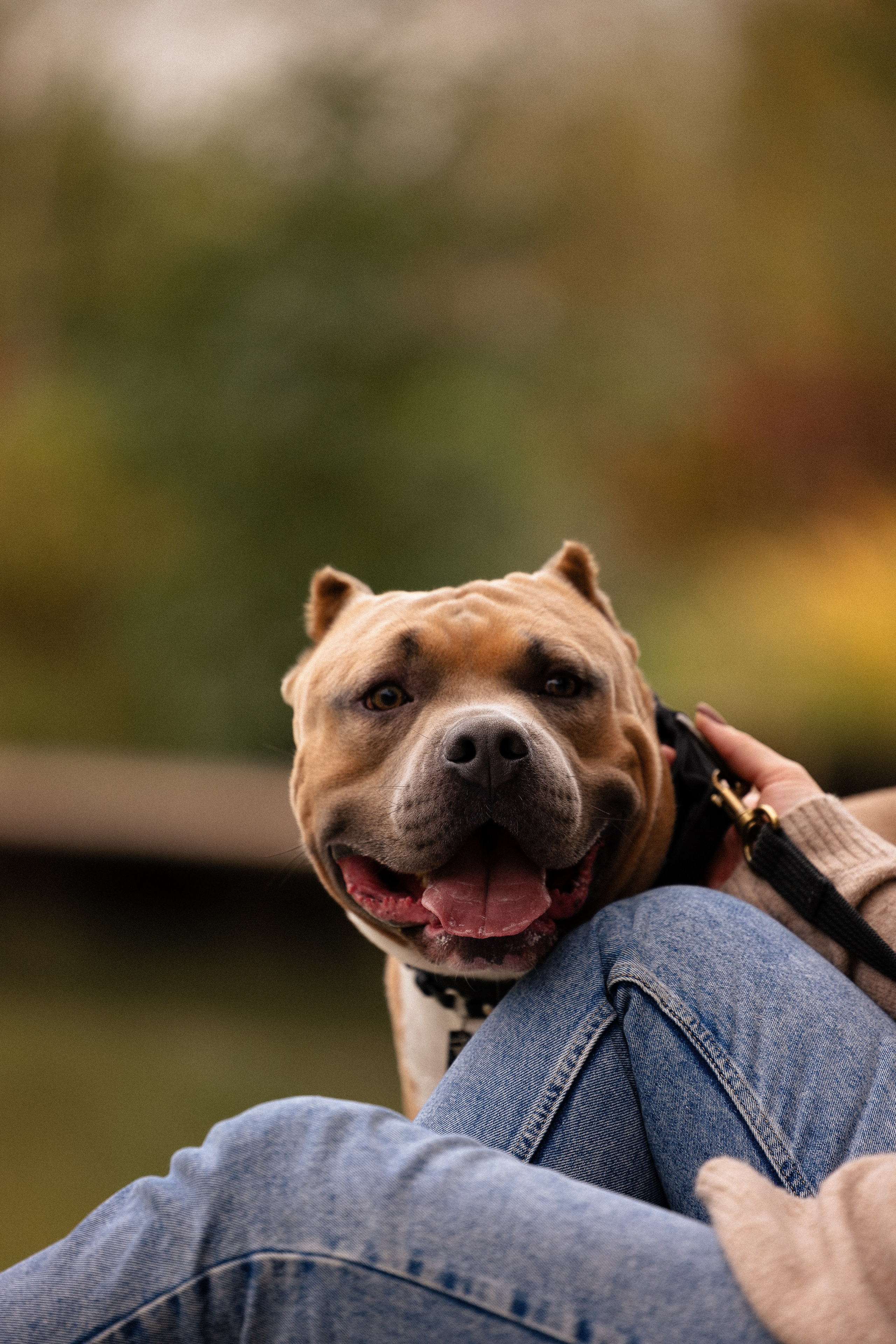 Алена и Тор. Фотограф и видеограф анималист Аганина Дарья