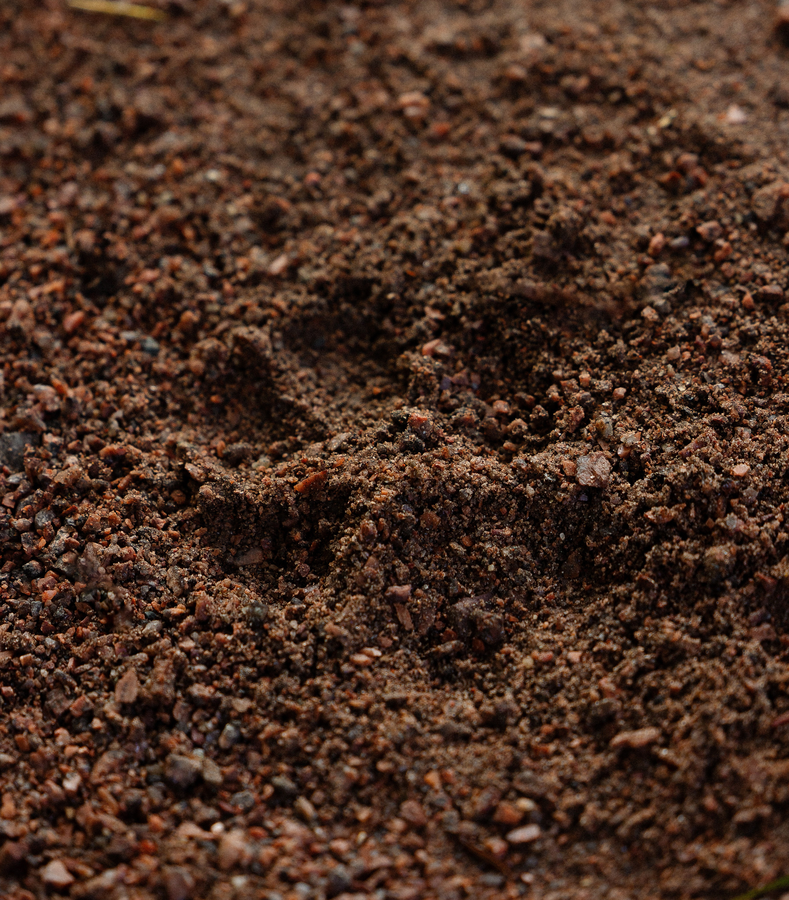 Галина и Кодекс. Фотограф и видеограф анималист Аганина Дарья