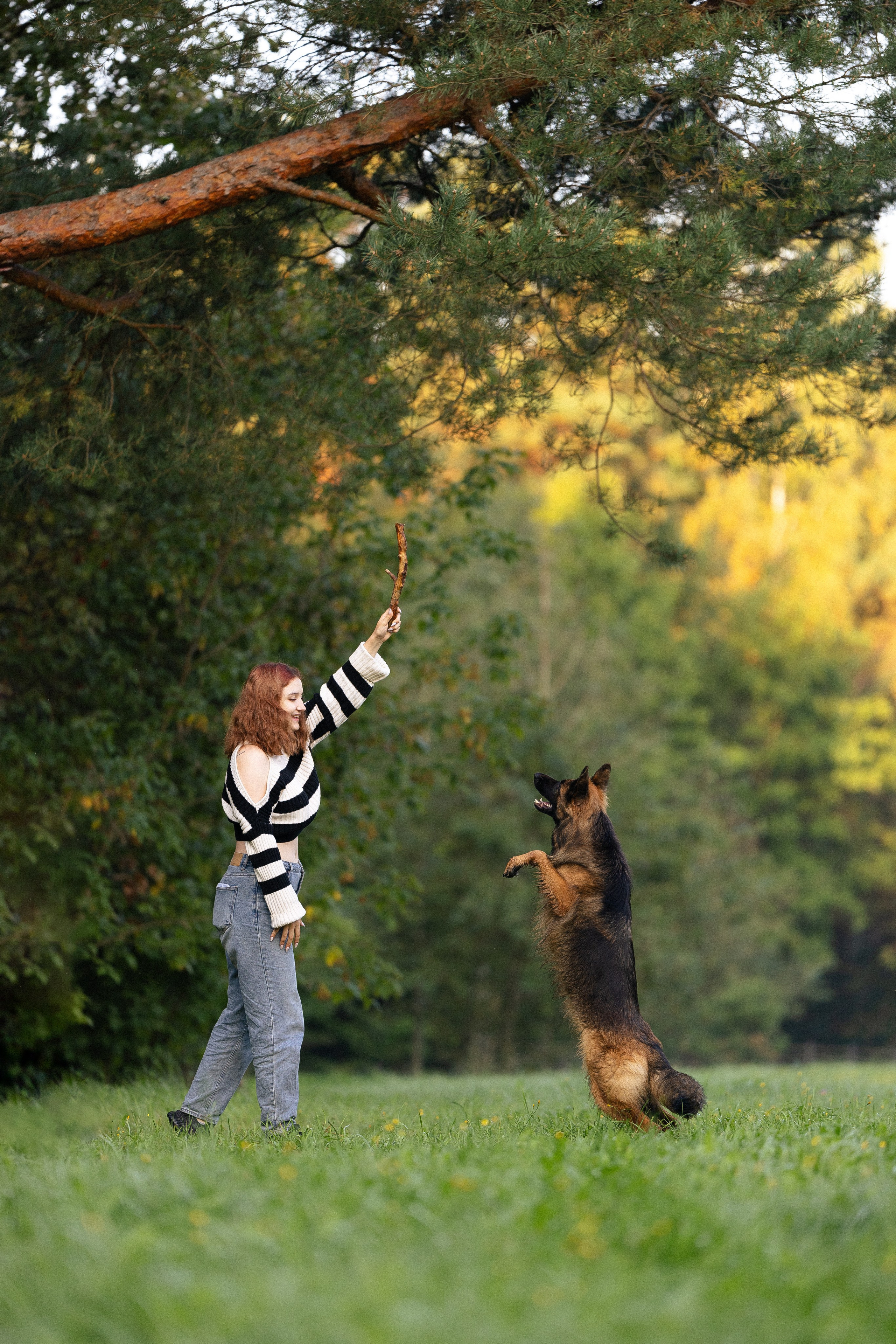 Алена, Матвей, Фанни и Фрея. Фотограф и видеограф анималист Аганина Дарья