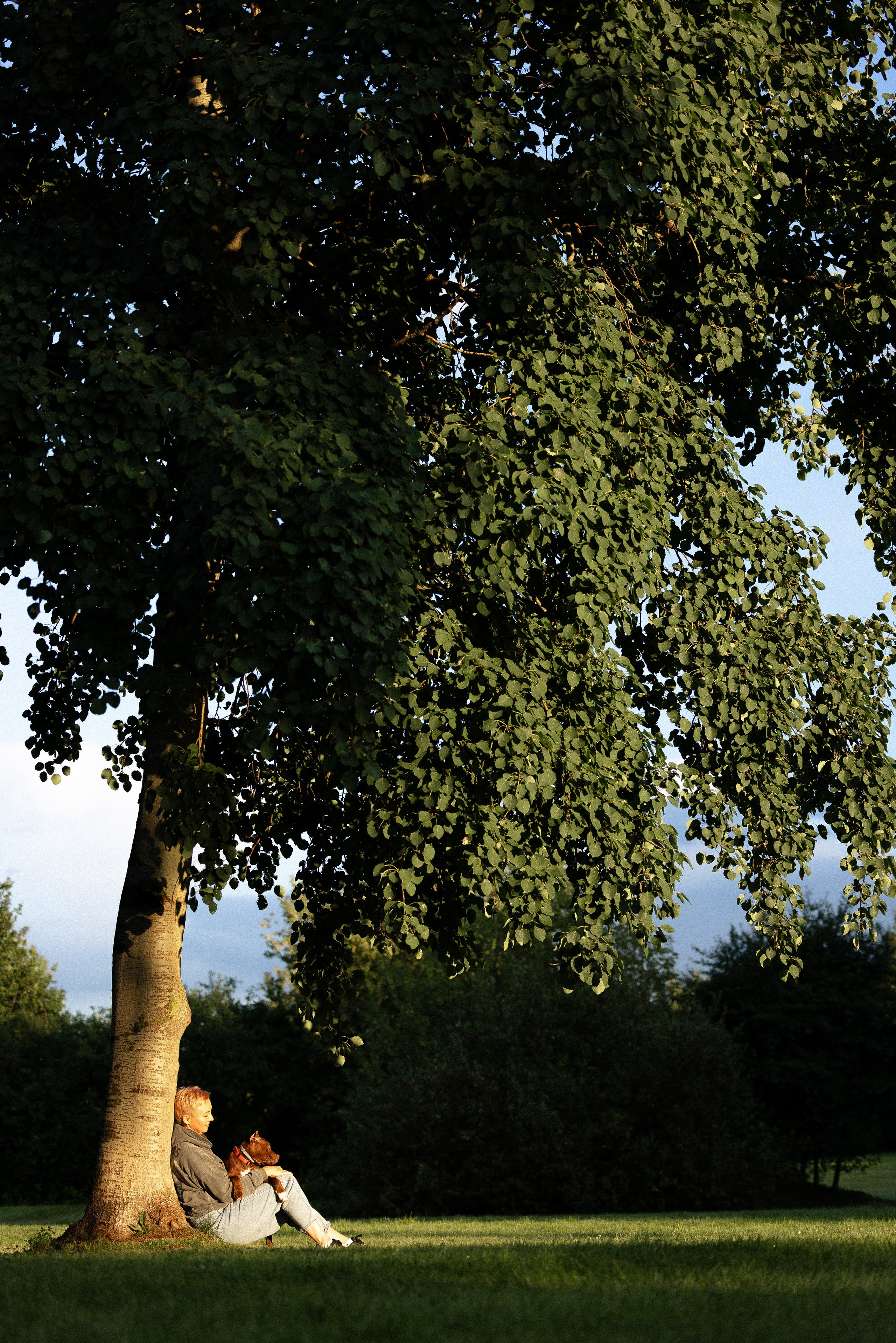 Елена и Хан. Фотограф и видеограф анималист Аганина Дарья