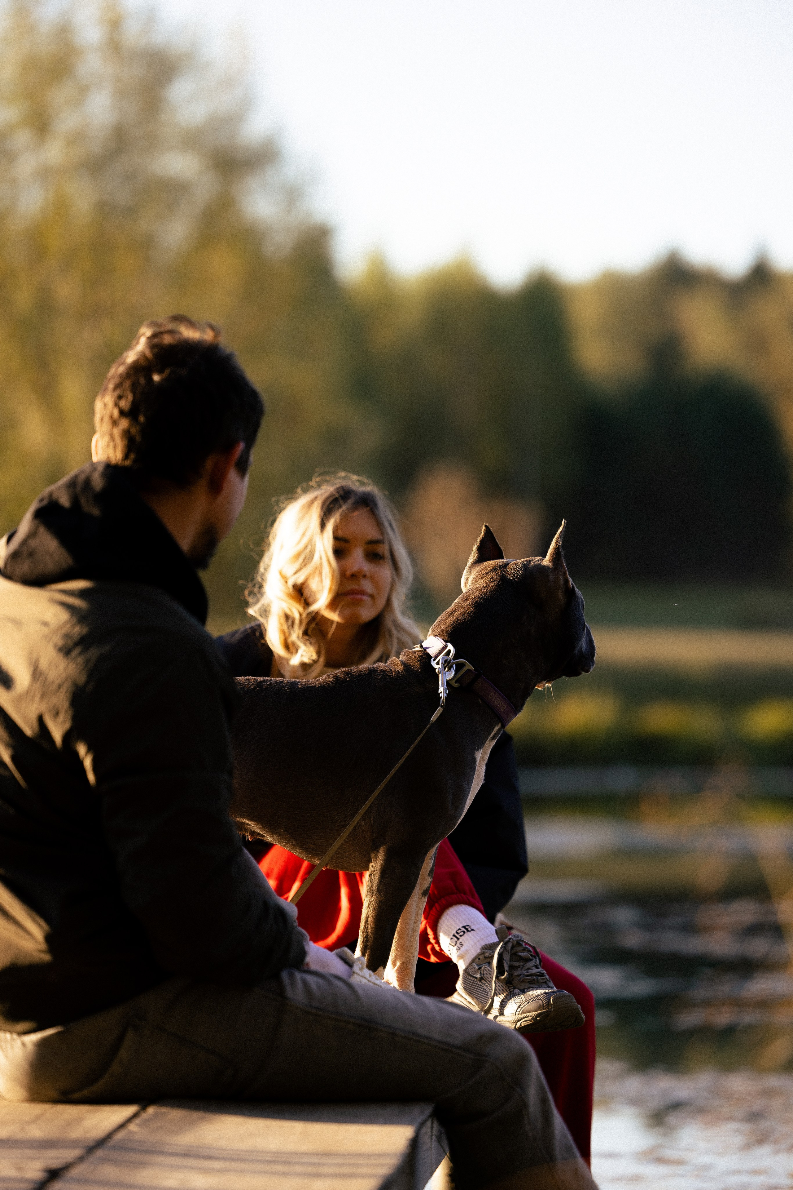 Катя, Леша, Лея и Трой. Фотограф и видеограф анималист Аганина Дарья
