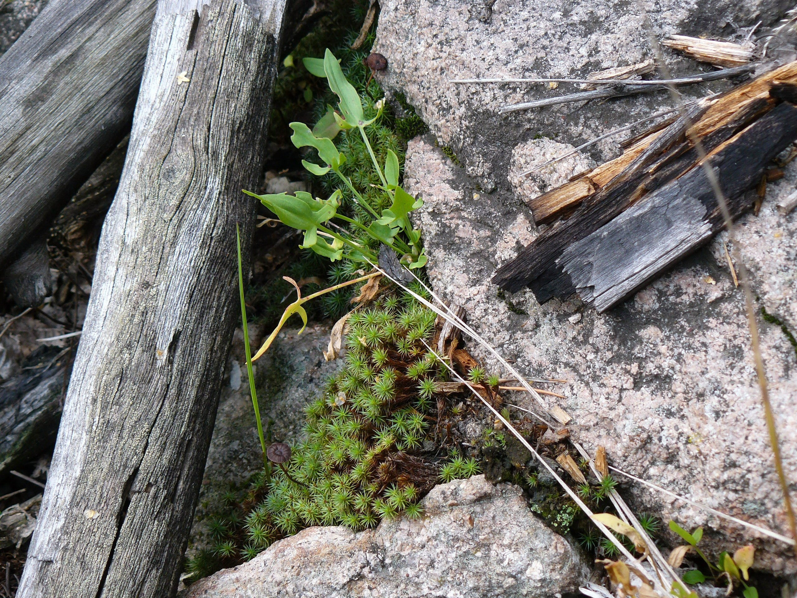 Боровое 2018 (из архива). Избранные фотографии