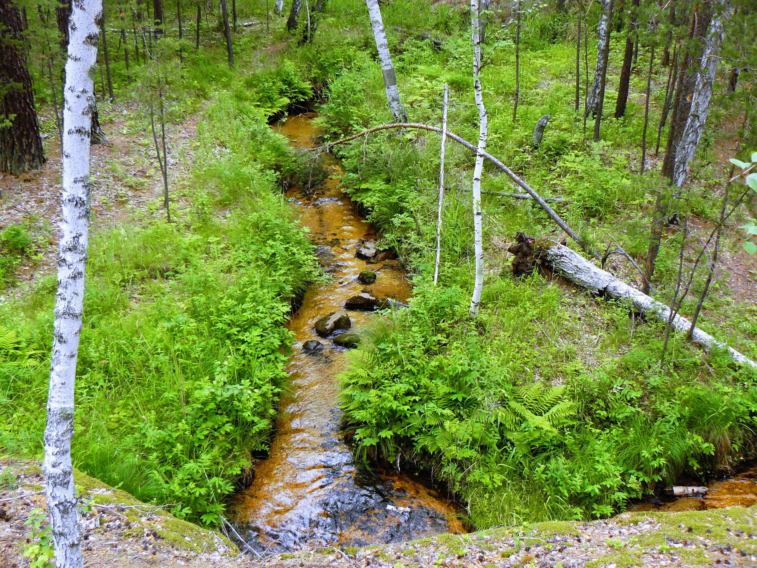 Боровое 2018 (из архива). Избранные фотографии