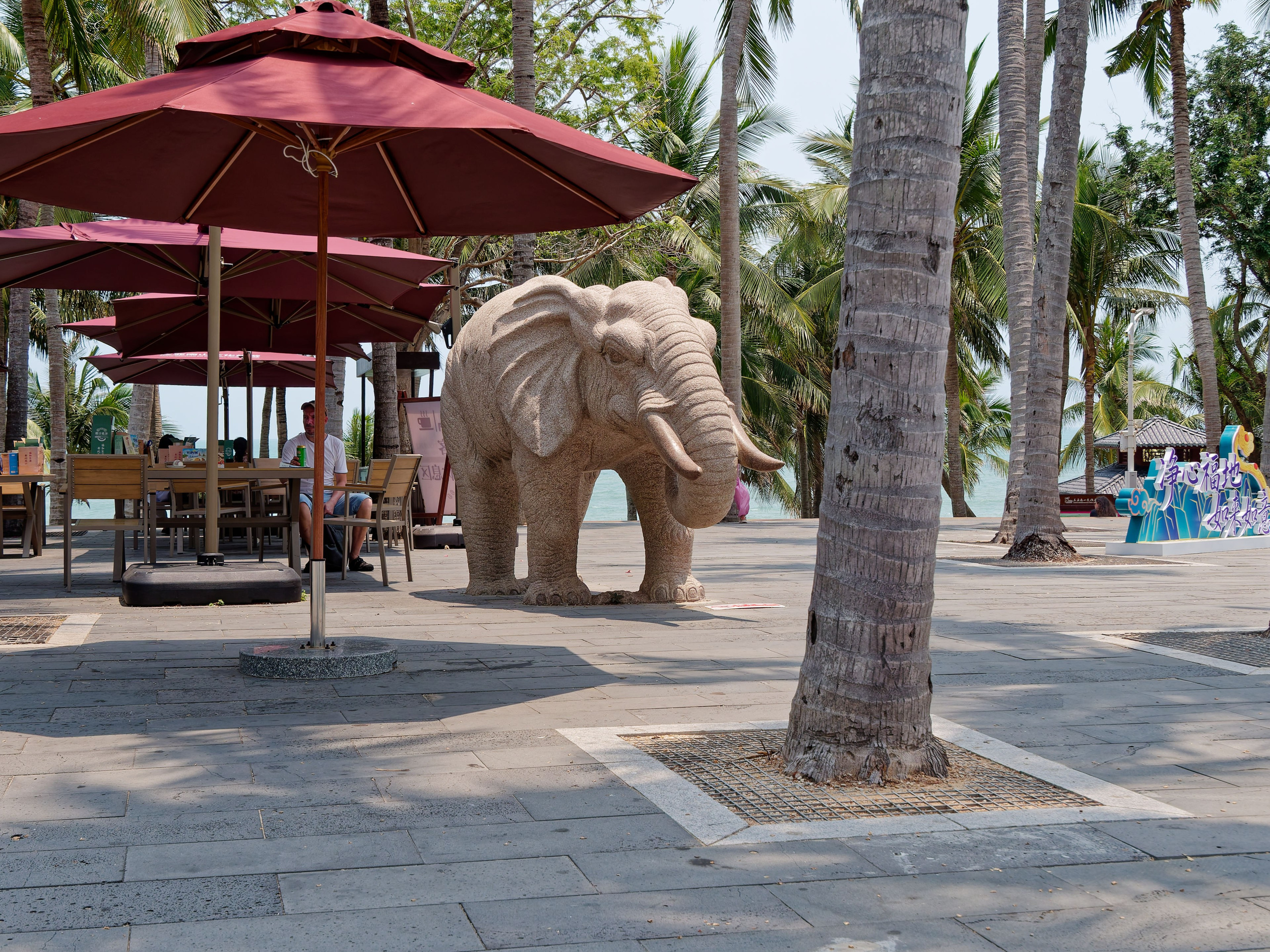 Хайнань 2026, Тур по буддийским храмам. Фотопрогулки по Миру