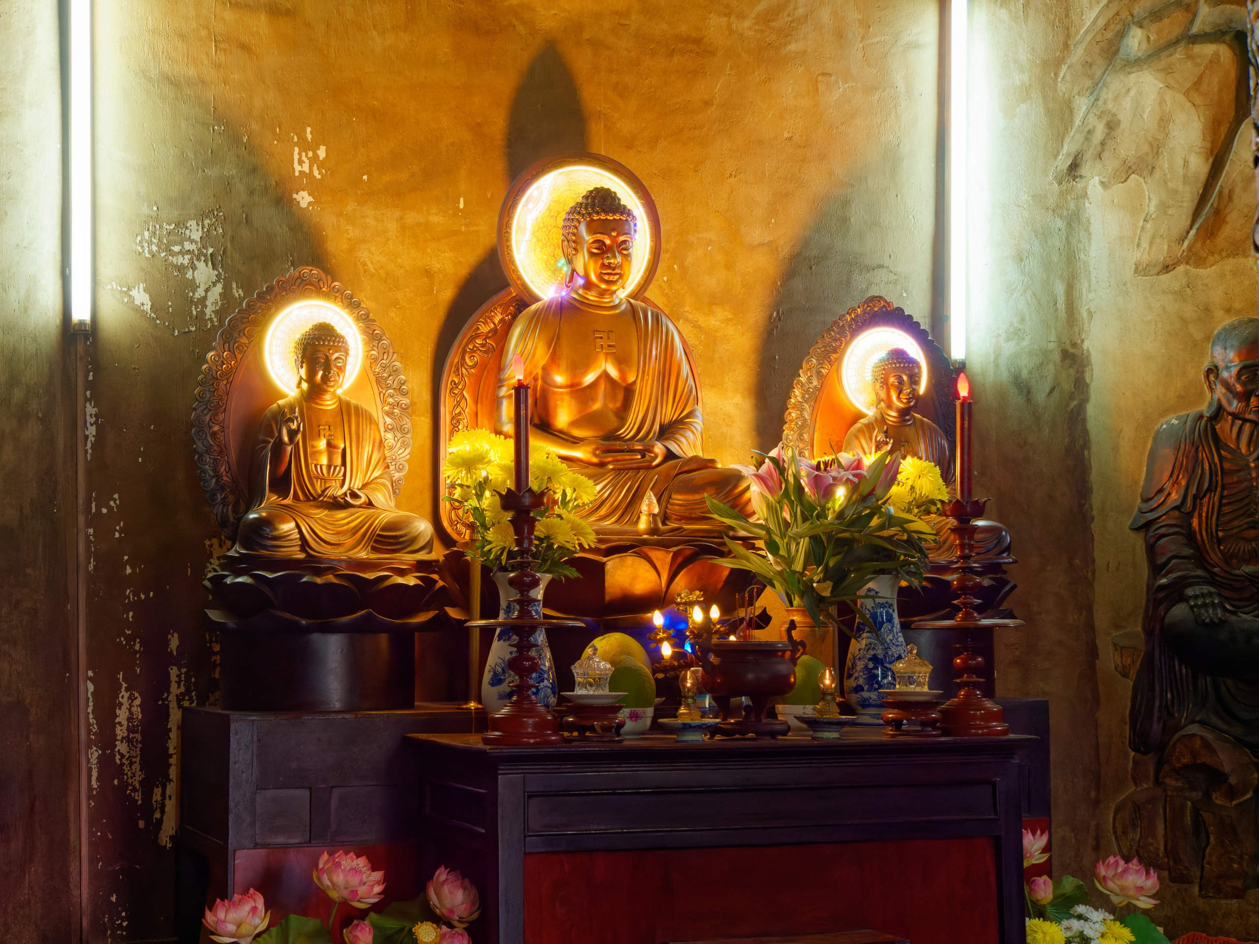 Нячанг 2023. Избранные фотографии