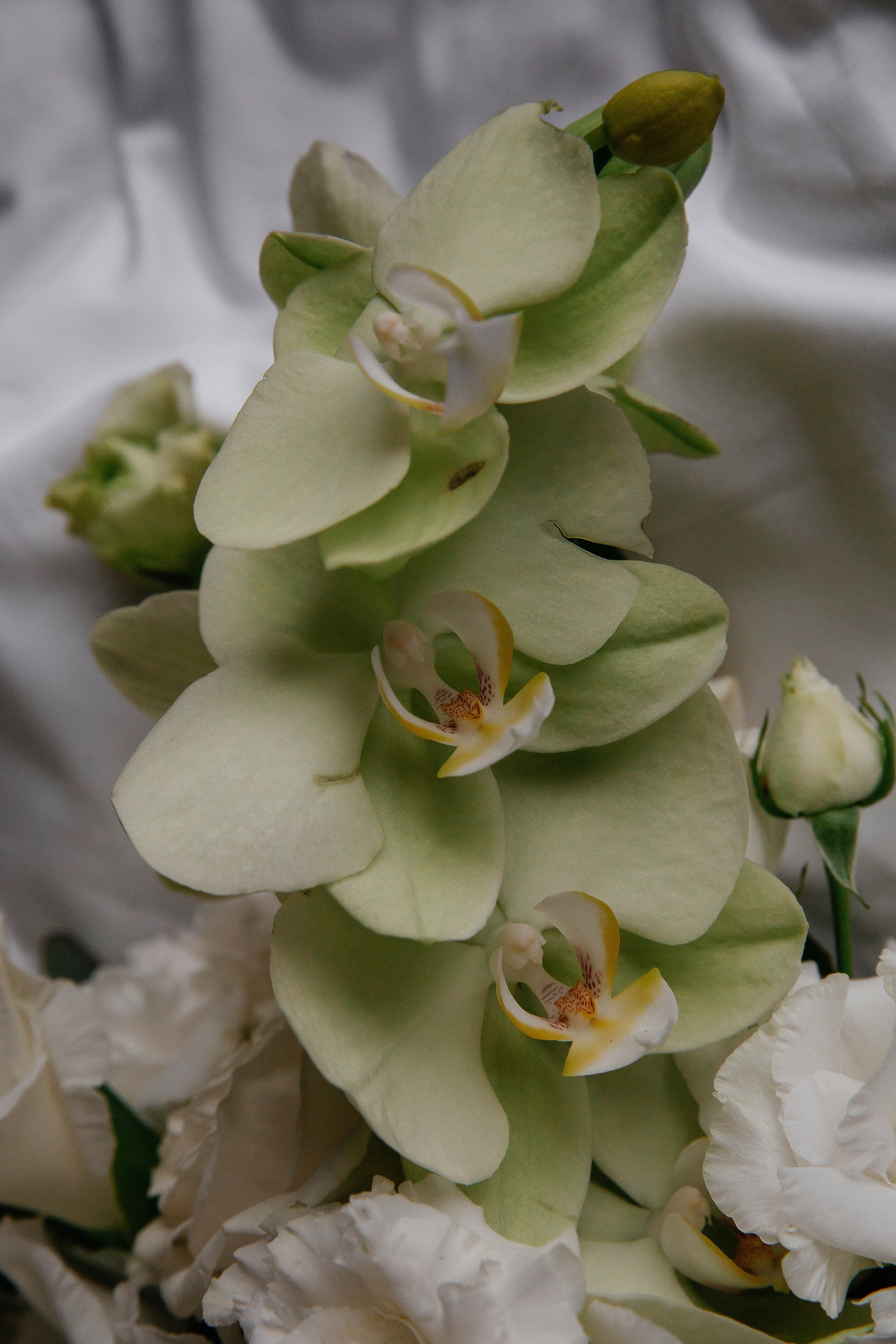 MARIA & LEV. Свадебный фотограф | Екатеринбург | Сочи | Артем Шестаков