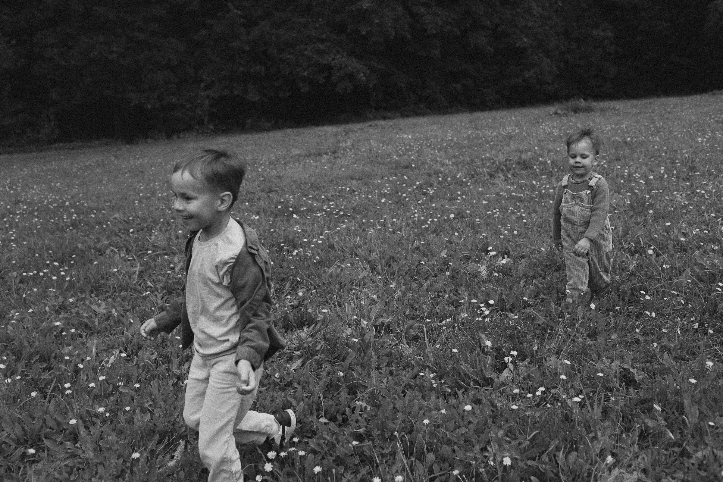 Кошки-Мышки. Семейный фотограф в Москве Алевтина Носова