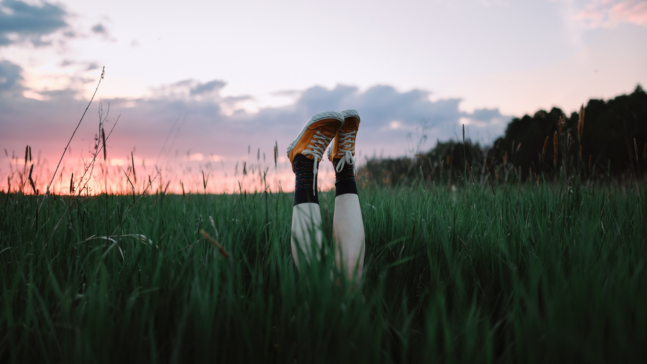 Алый закат. Komonev