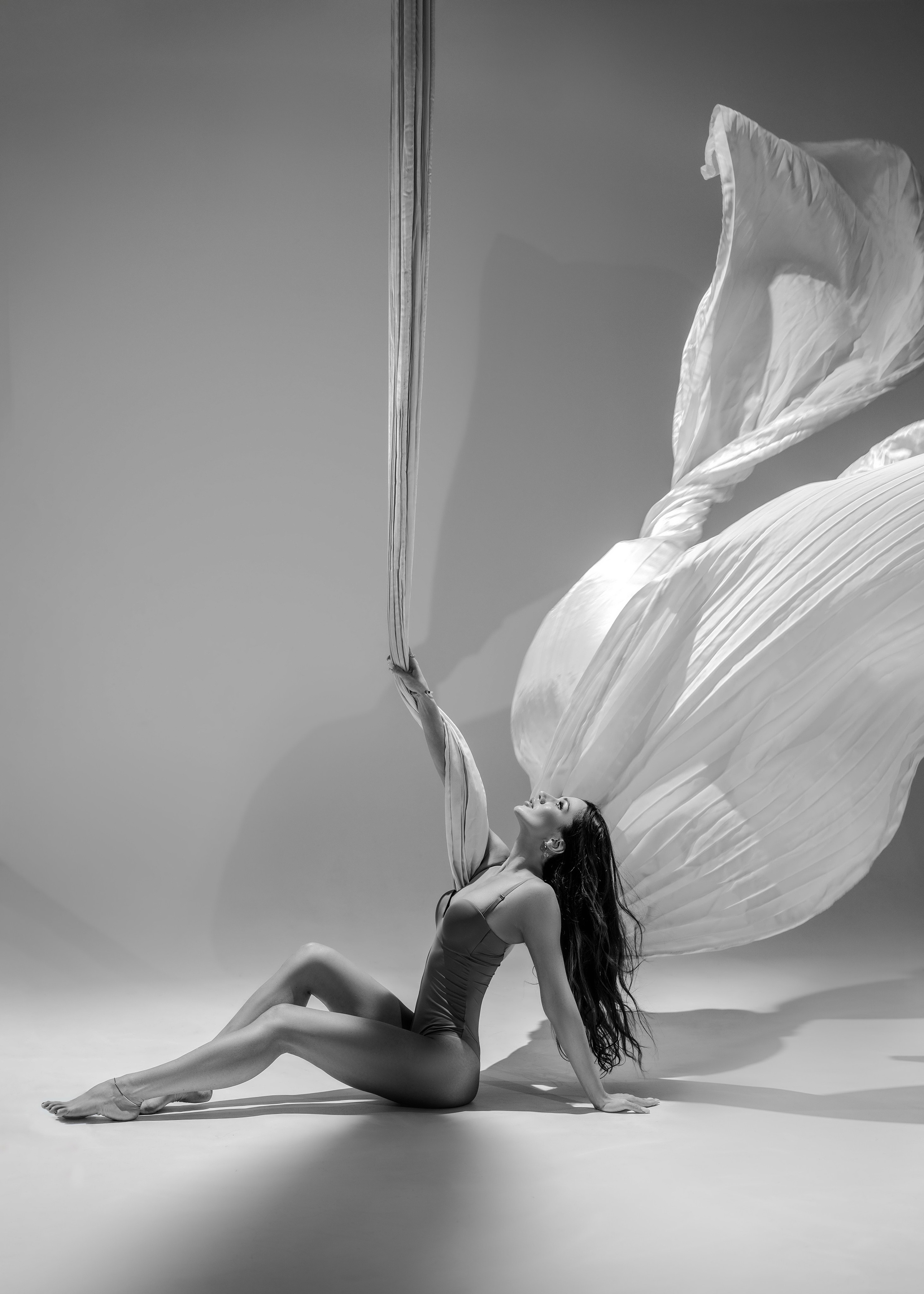 Aerial gymnasts. Team of creative photographers. Family, wedding, studio photos