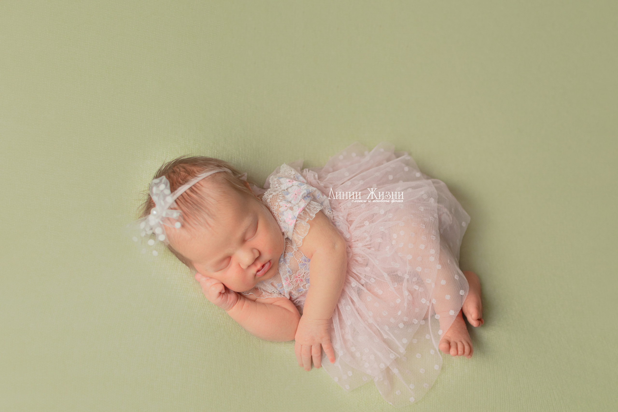 Надежда 8 дней. Фотограф новорожденных в Нижнем Новгороде Сергеева Оксана