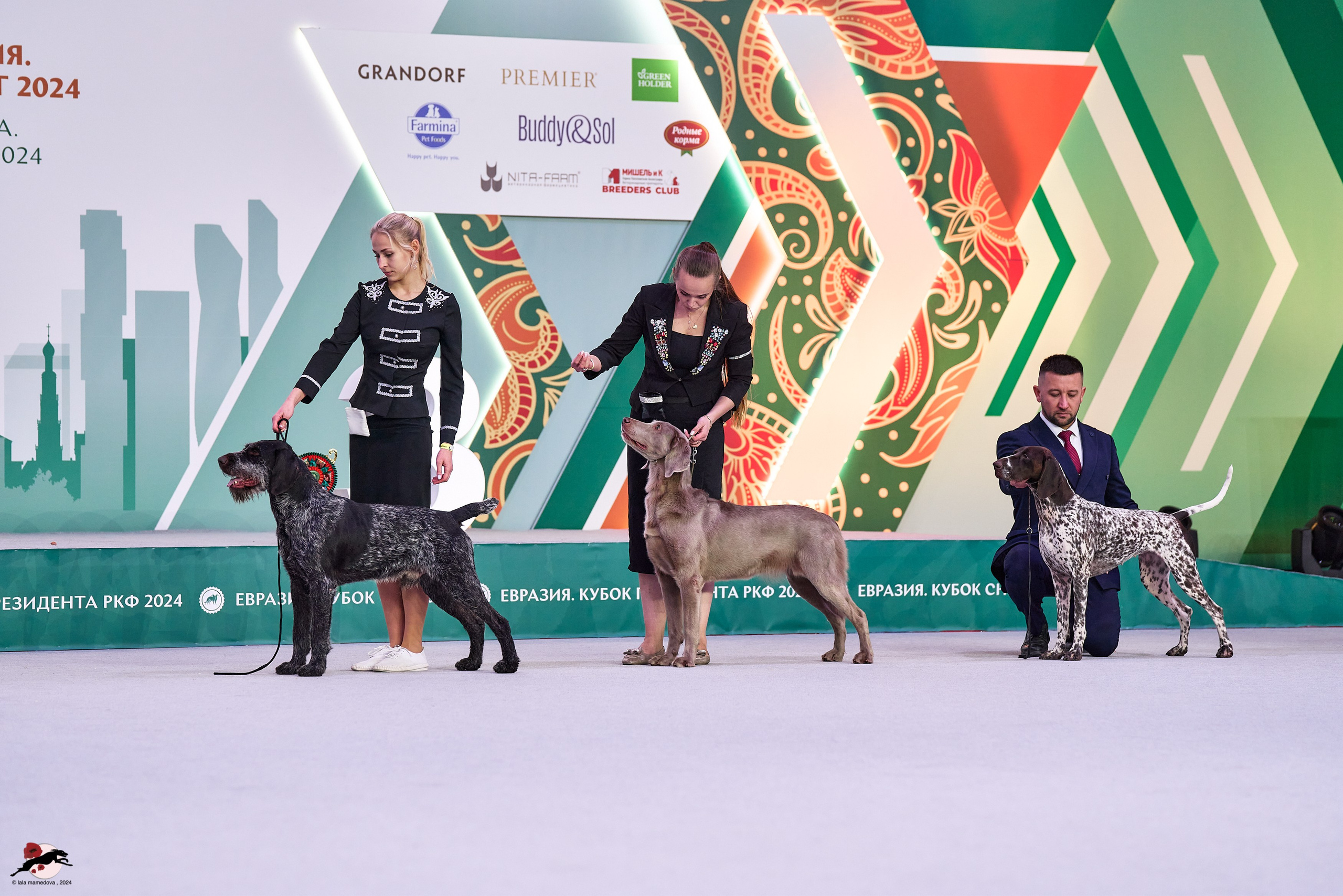 17.11.2024 «ЕВРАЗИЯ. КУБОК СНГ 2024»