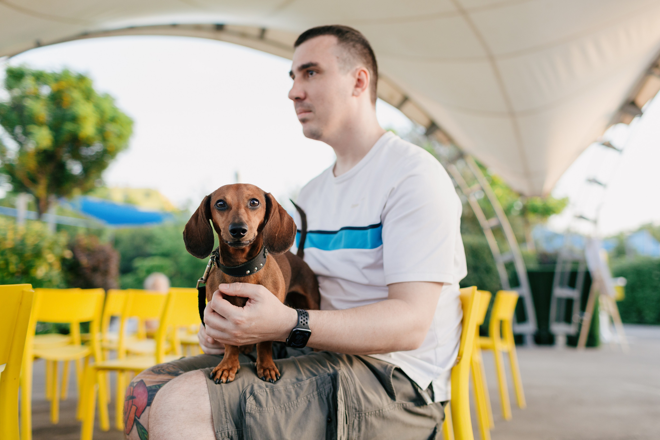 Dog Fest 2024. Главная