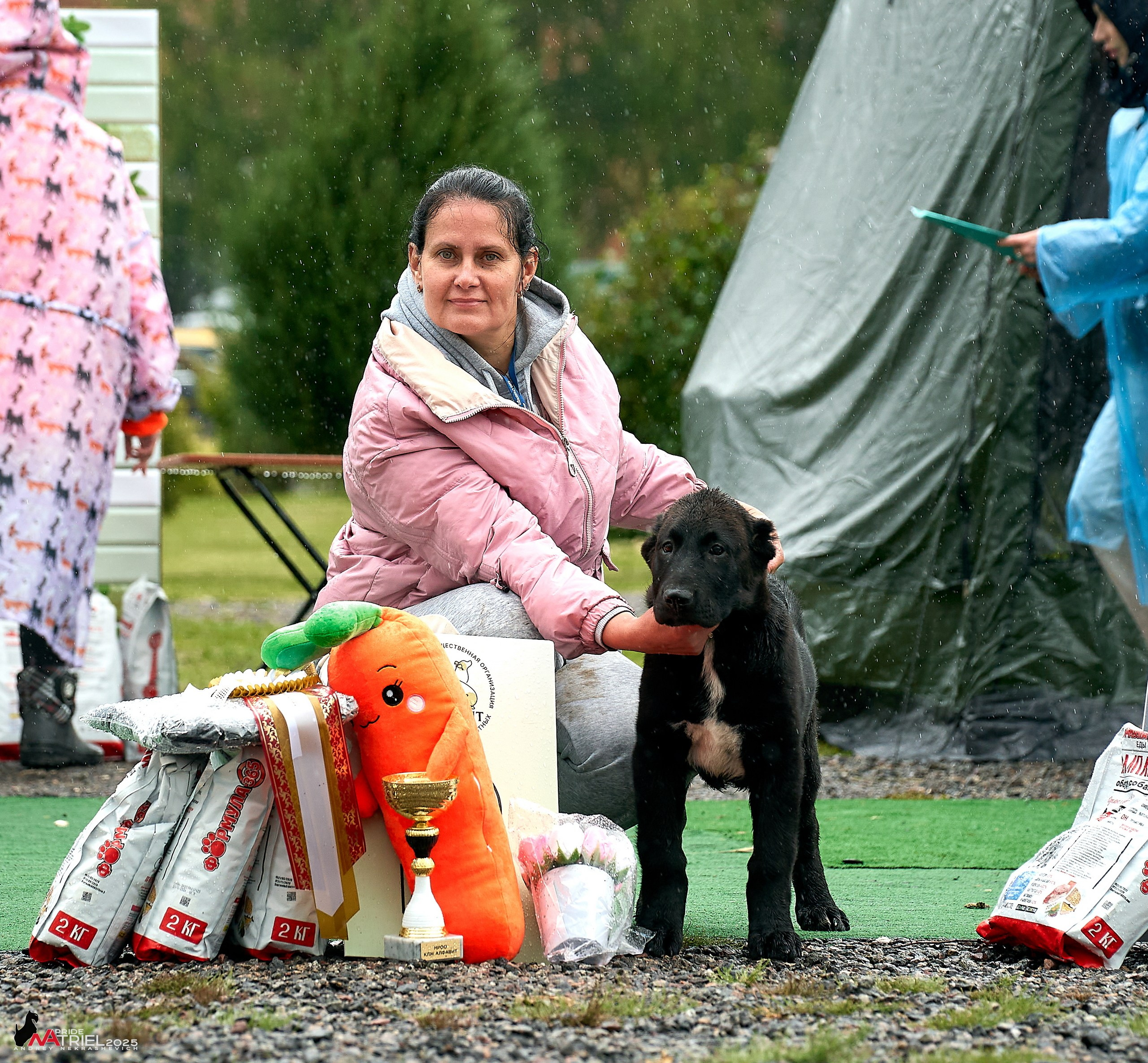 Репортаж с выставки собак