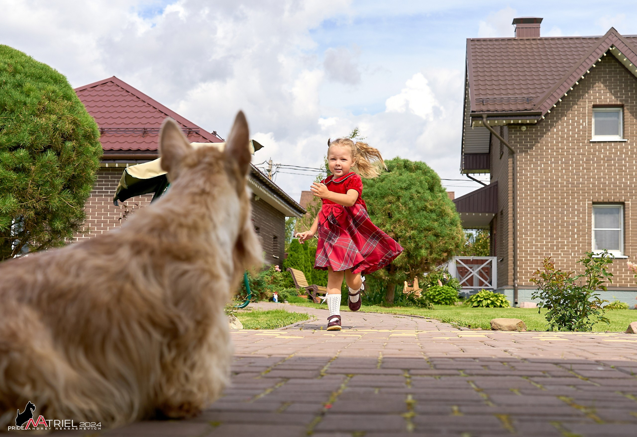 Скотчесемья «ИмпериалИти»
