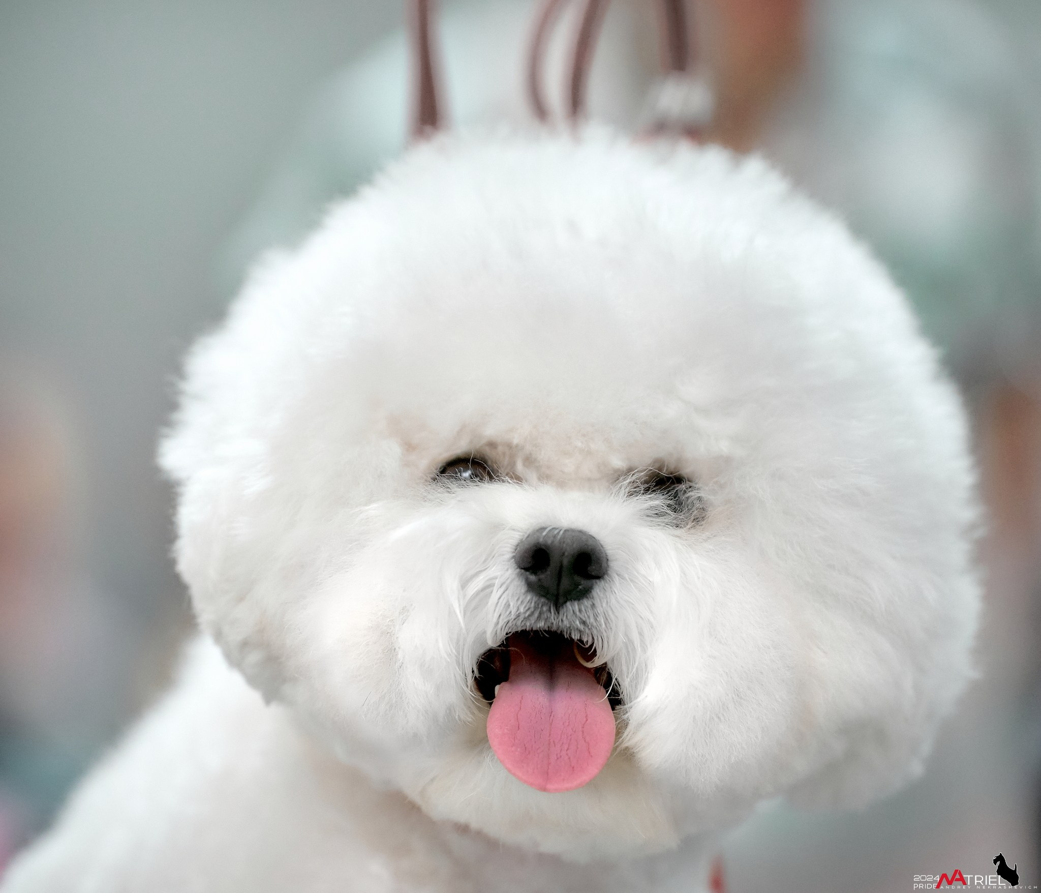 Съемка на выставке в Крокус