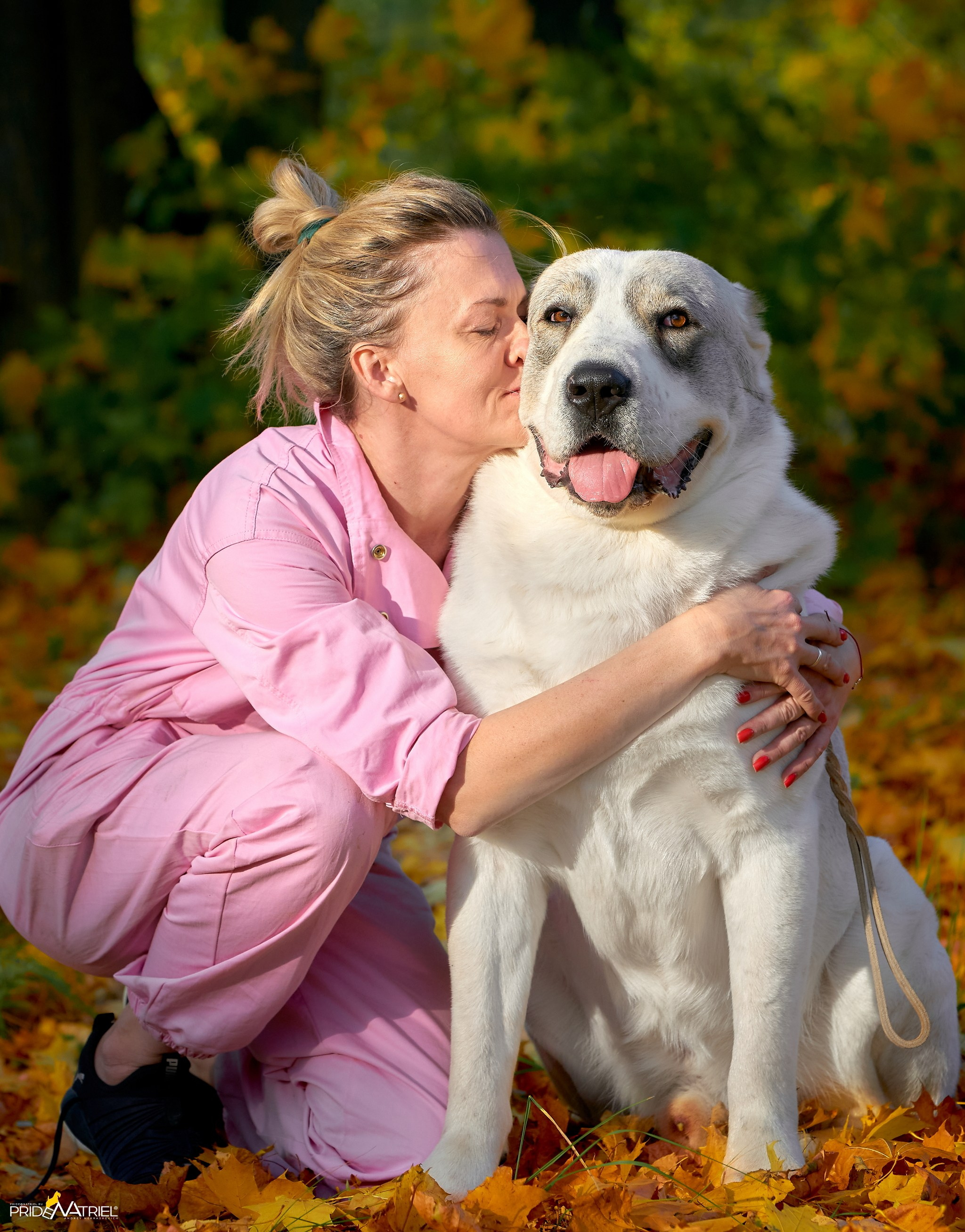 Собаки и Люди — галерея NATRIEL