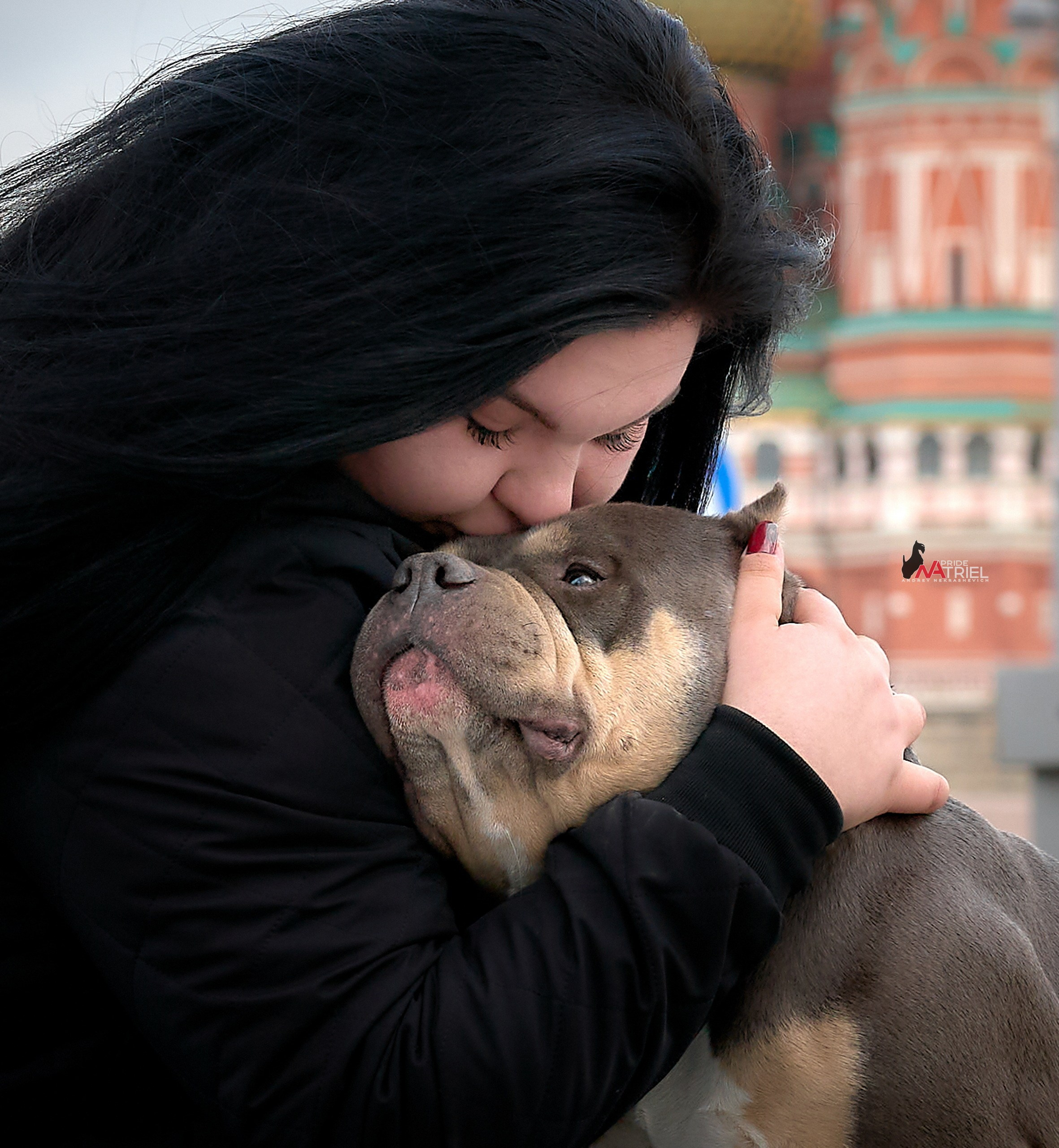 Собаки и Люди — галерея NATRIEL