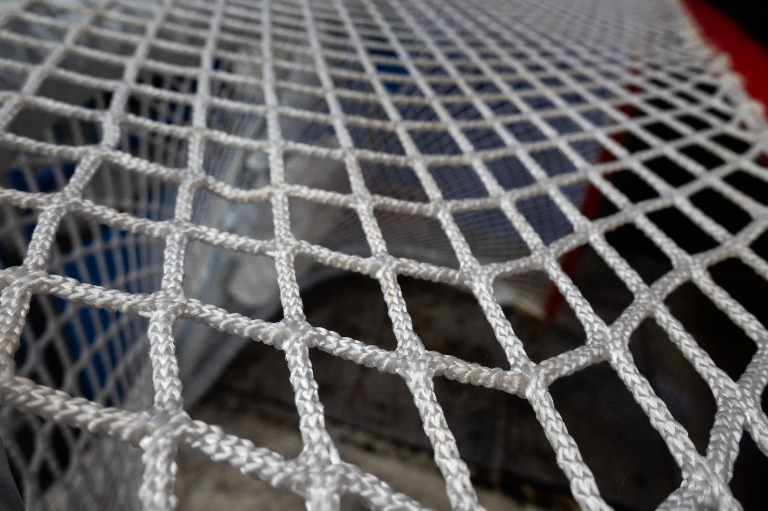 Призетация ТАНК в арене Металлург. Evgeniy Roslov