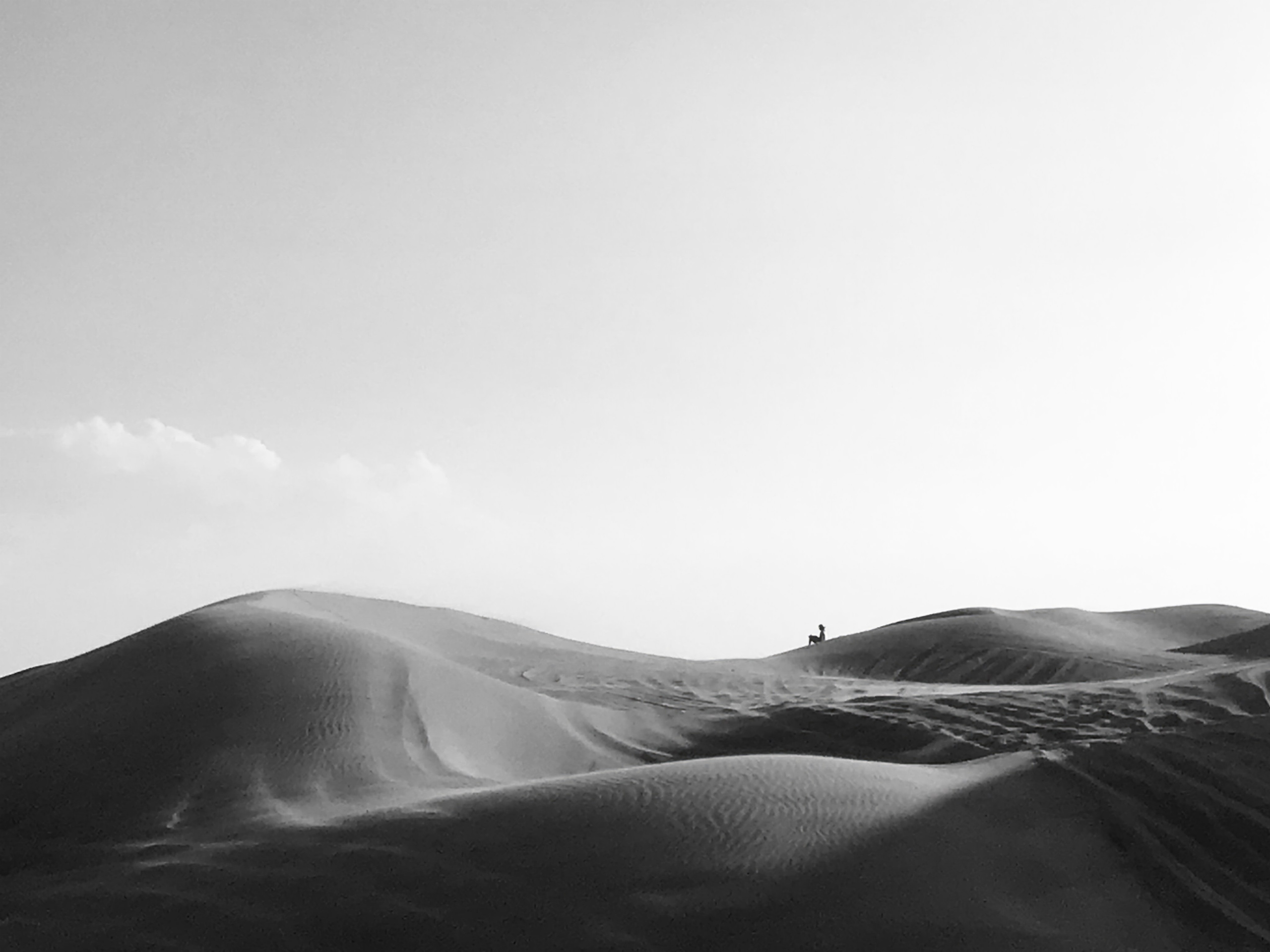 Время одиночек — авторская художественная фотография Ма. Ма