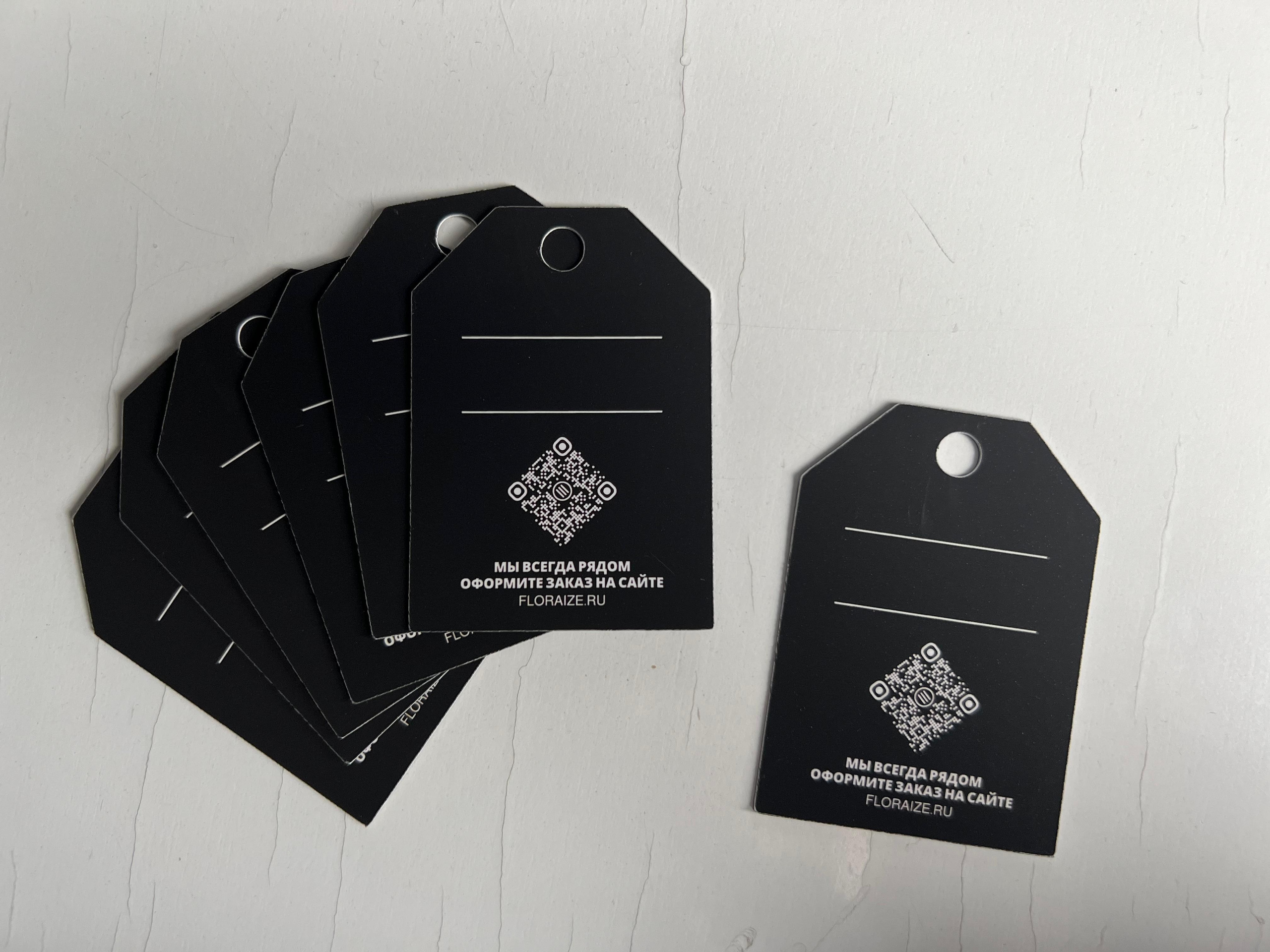 FLORAIZE. Портфолио