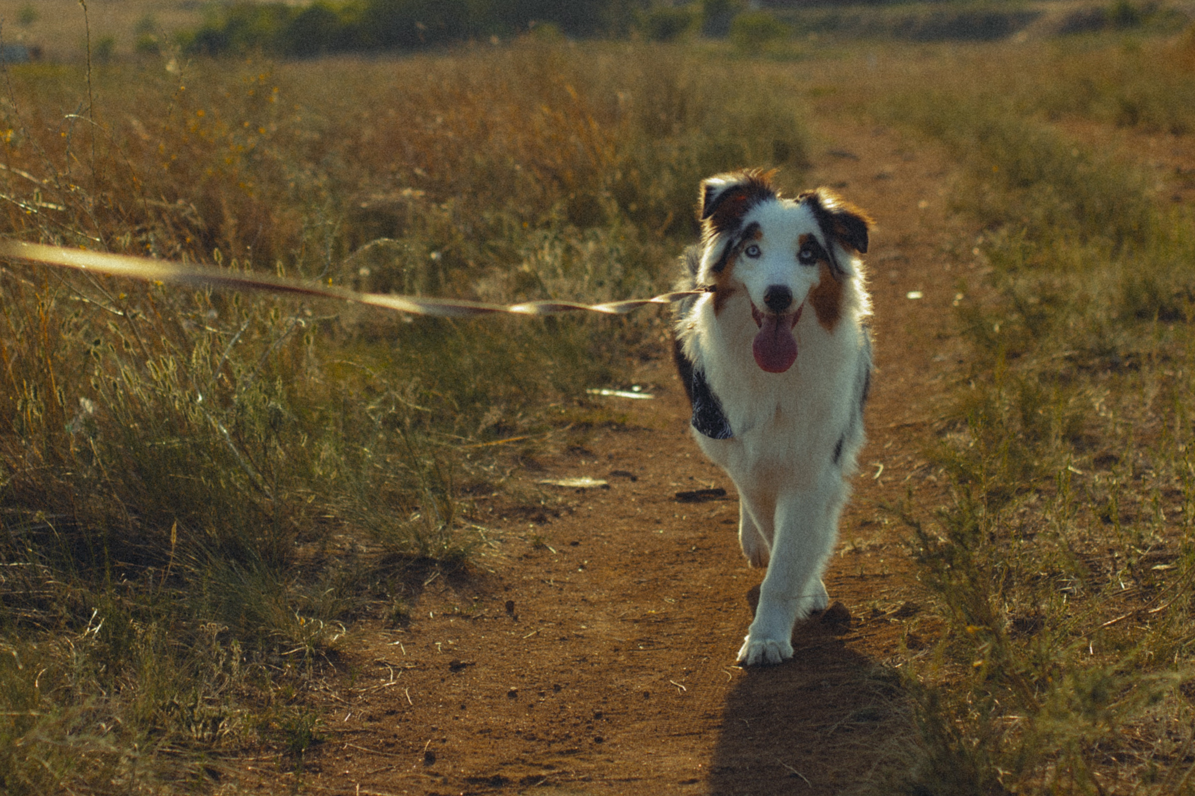 Яна и Кэсси. Фотограф Улан-Удэ