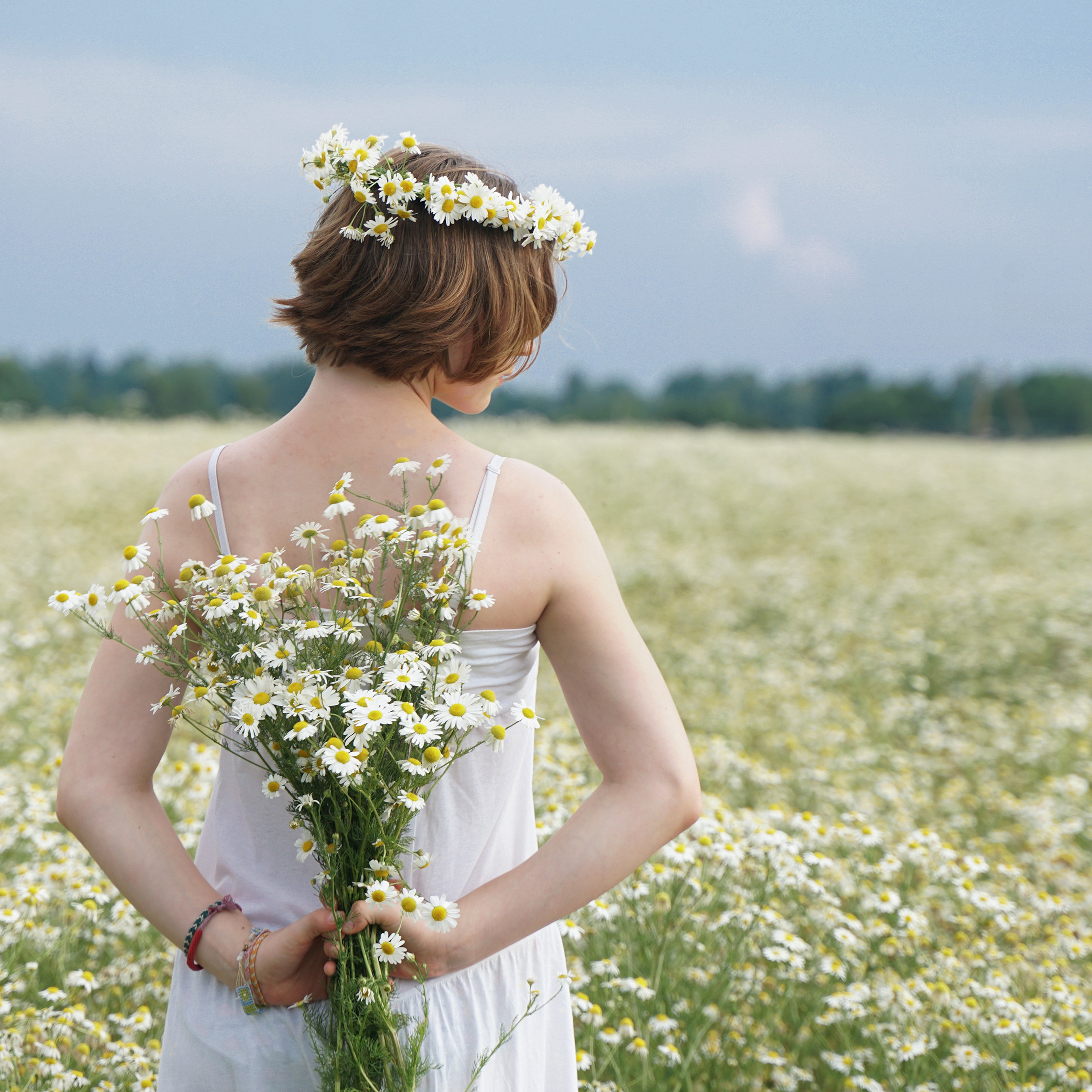 Фотосессия в ромашковом поле. Фотограф Наталья Погодина в г. Обнинске
