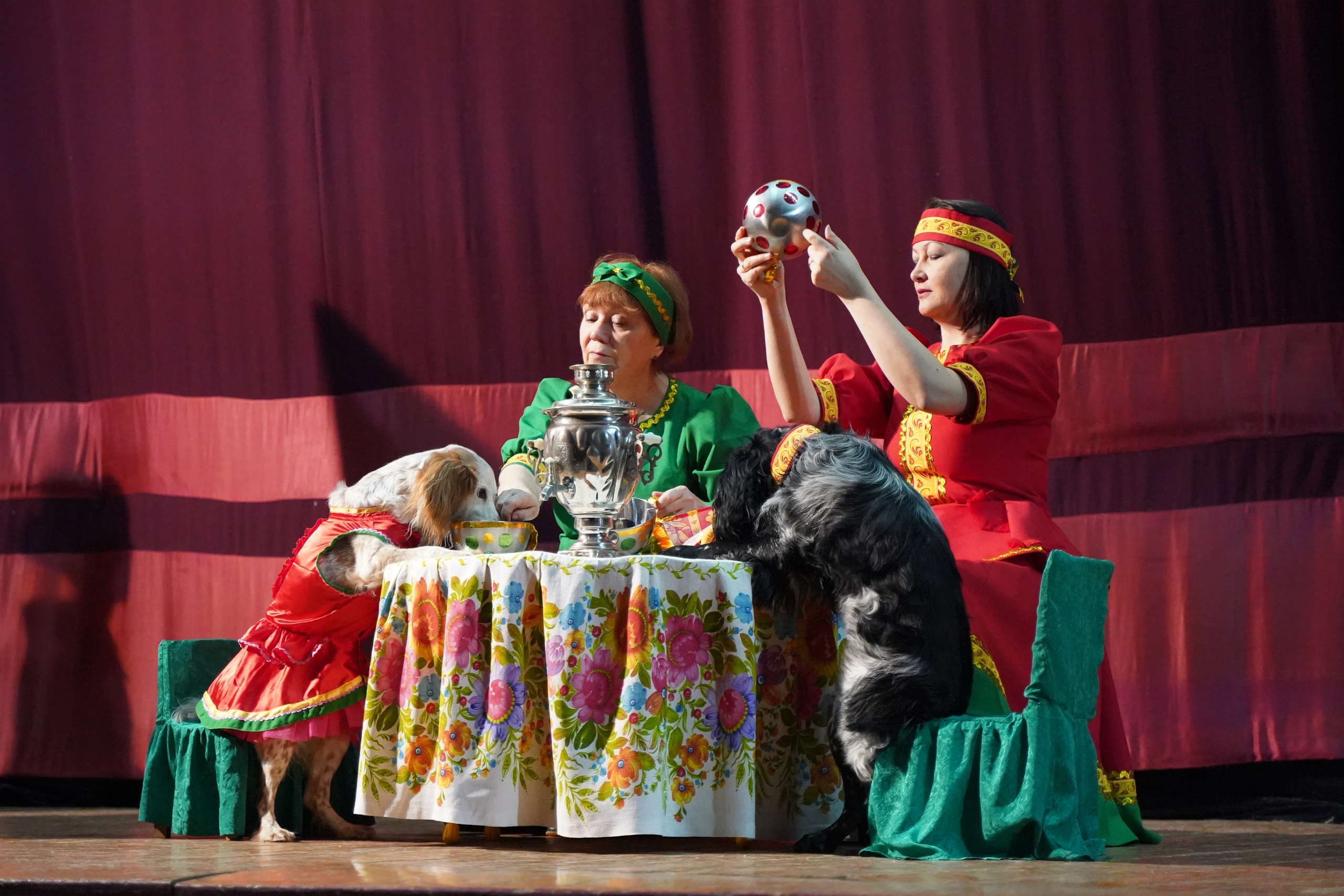 Цирк дрессированных собак. Фотограф Наталья Погодина в г. Обнинске