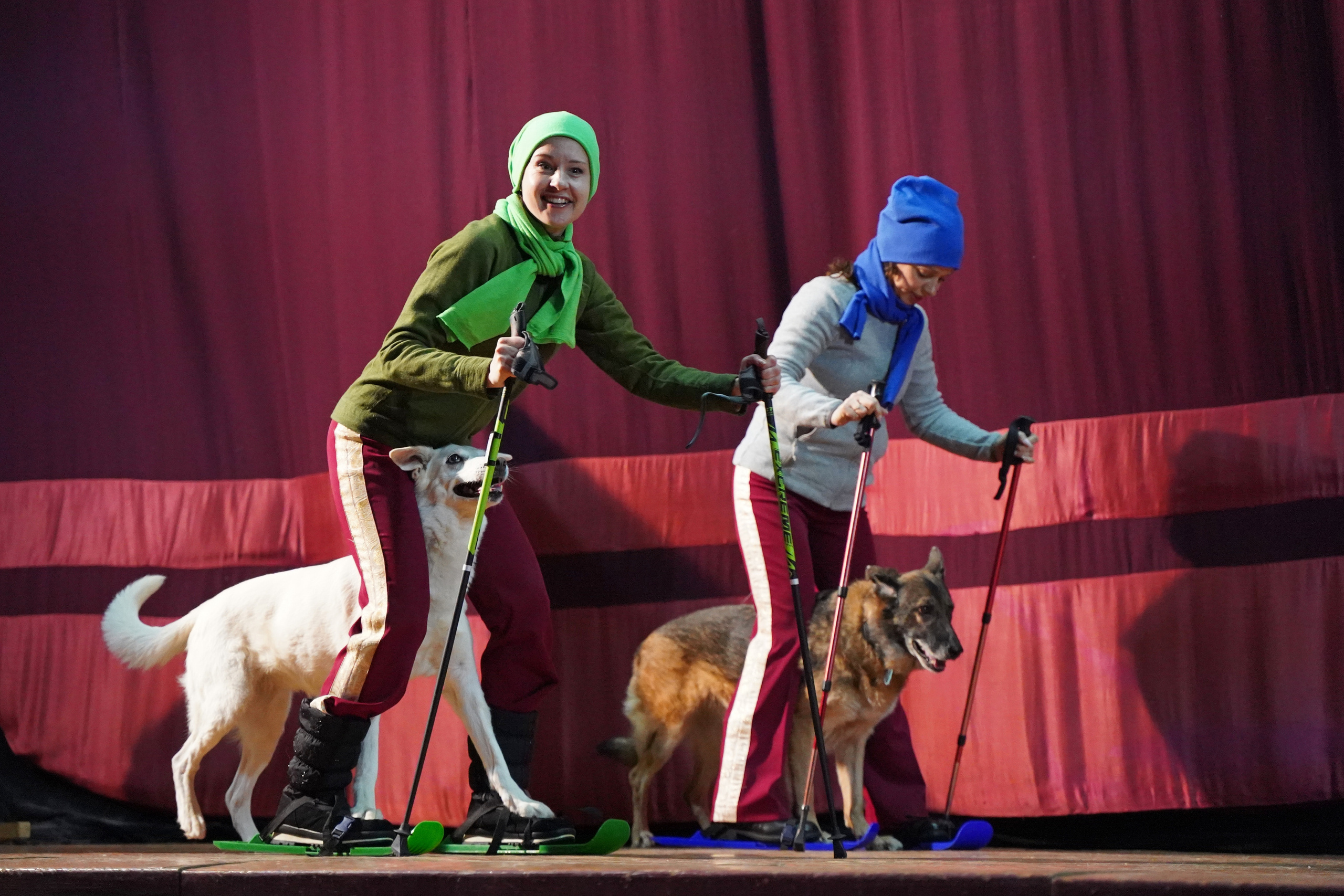 Цирк дрессированных собак. Фотограф Наталья Погодина в г. Обнинске