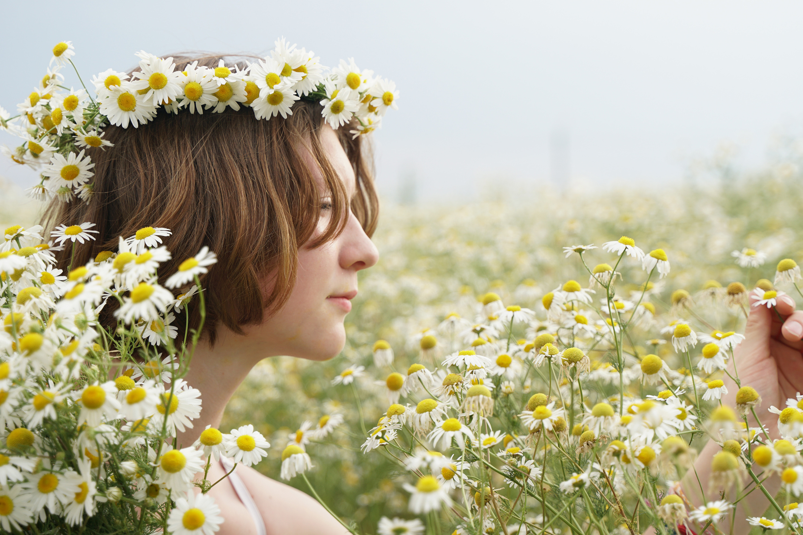 Фотосессия в ромашковом поле. Фотограф Наталья Погодина в г. Обнинске