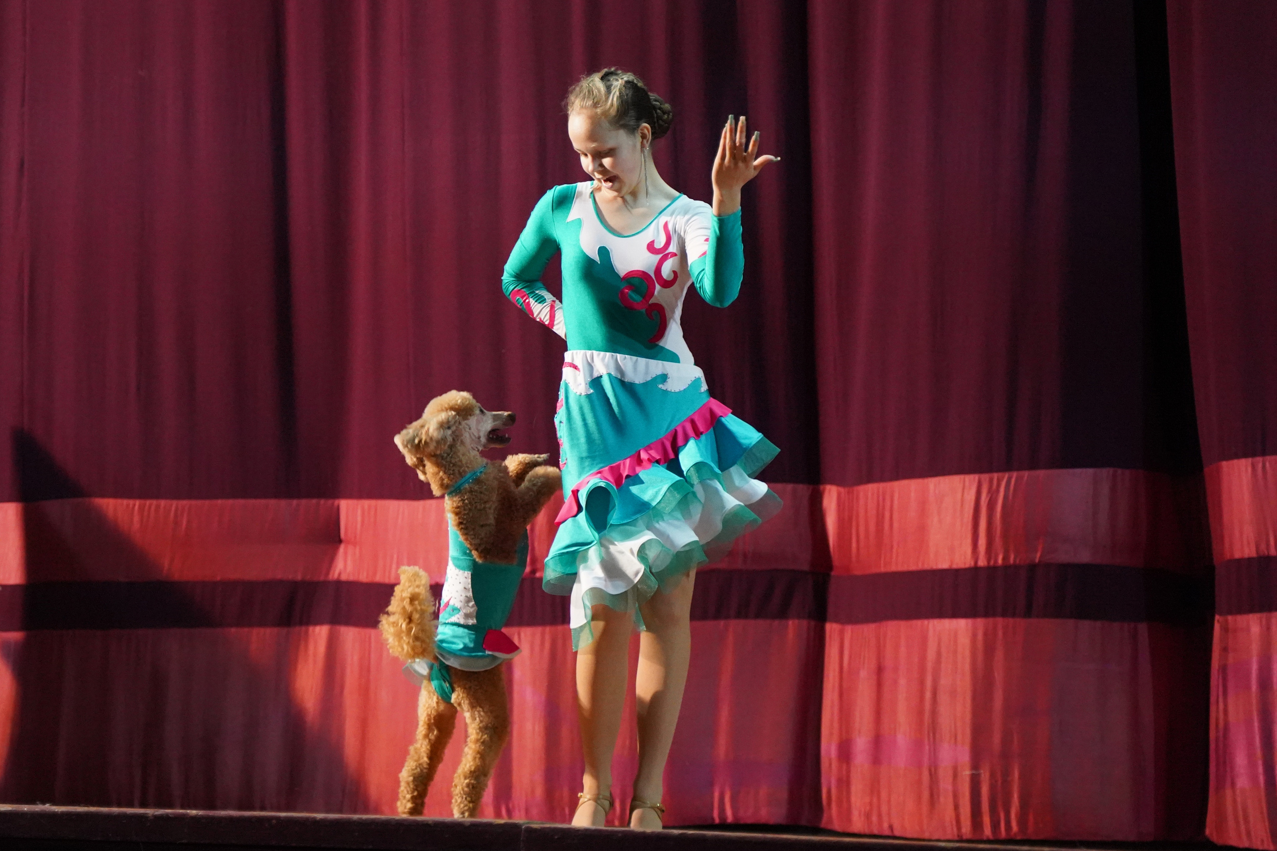 Цирк дрессированных собак. Фотограф Наталья Погодина в г. Обнинске