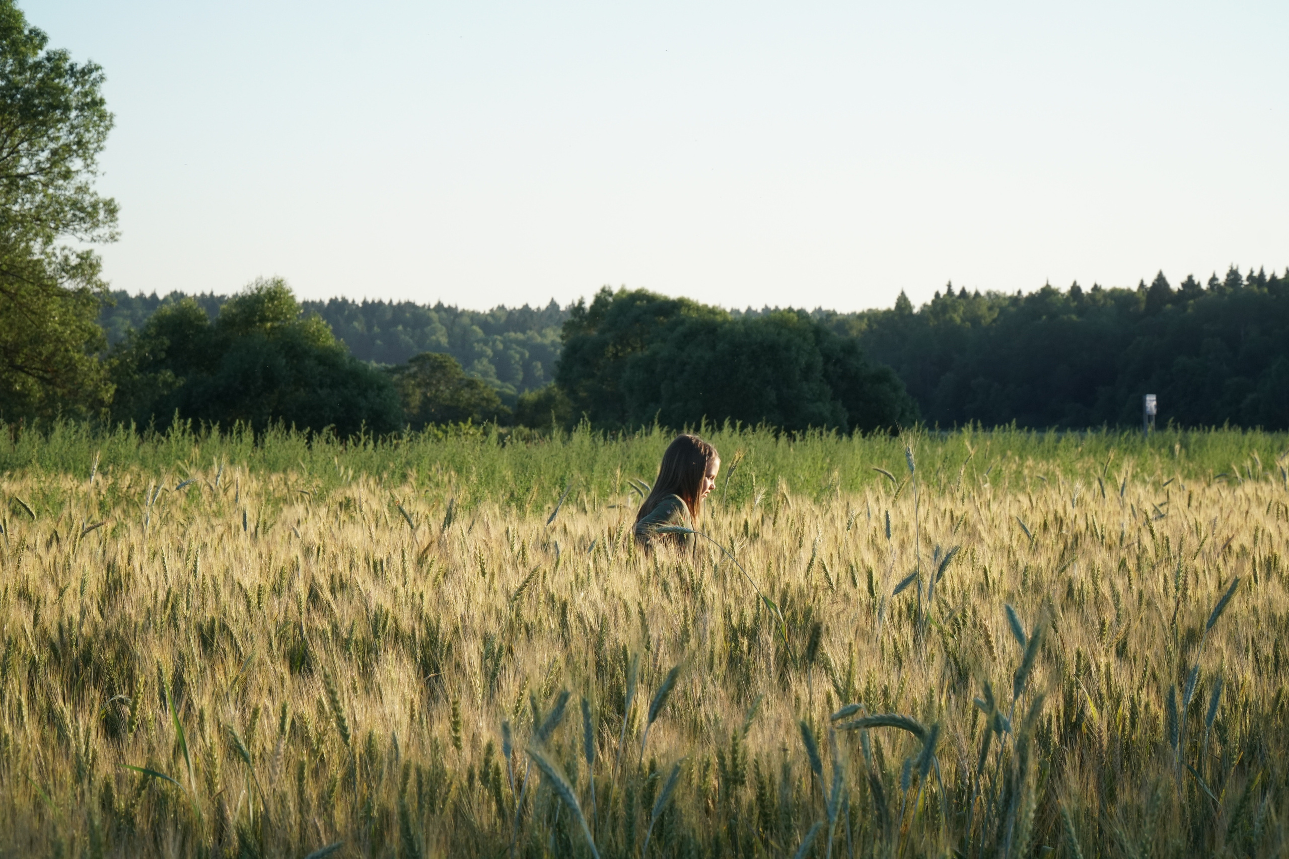Летняя семейная фотопрогулка. Фотограф Наталья Погодина в г. Обнинске
