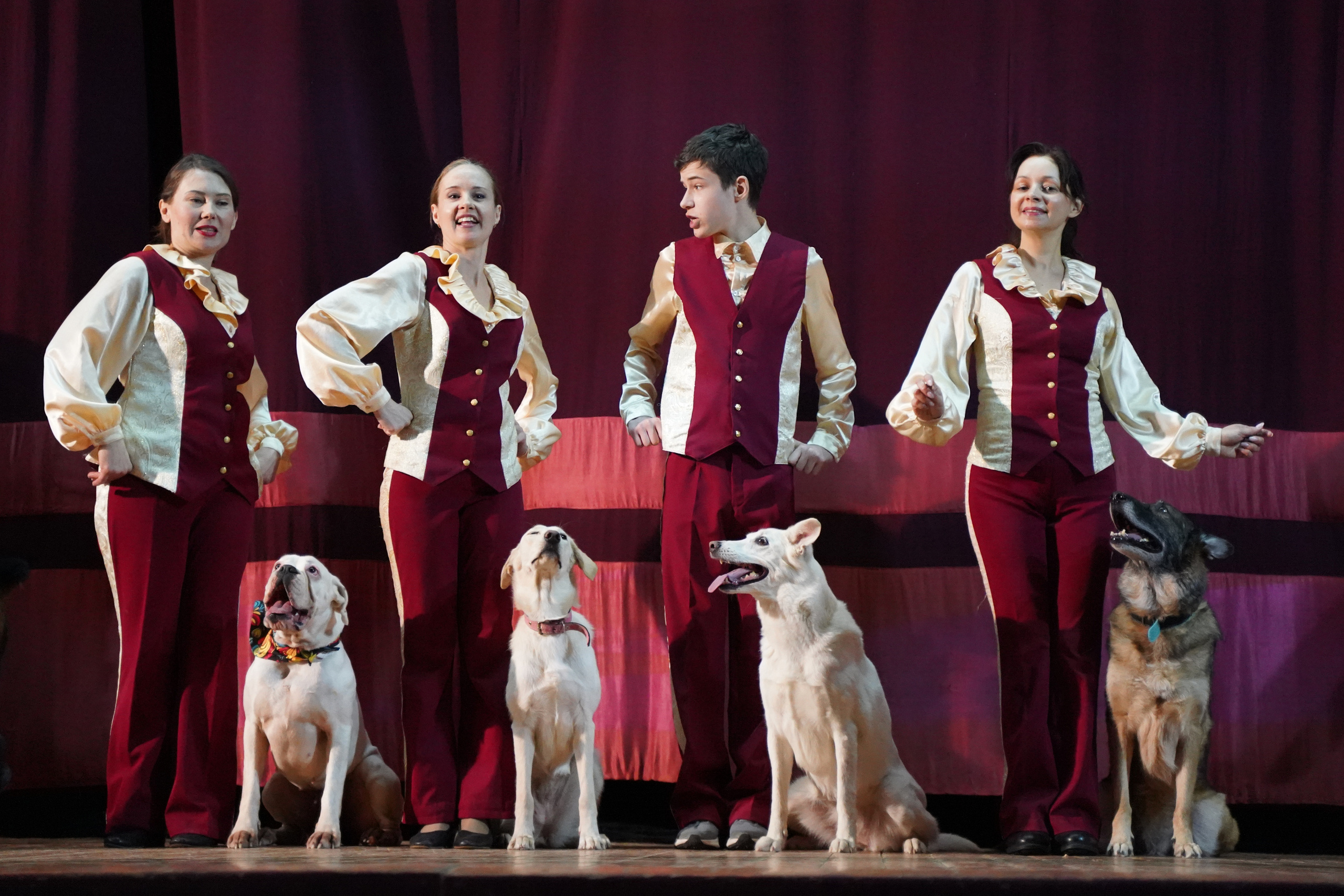 Цирк дрессированных собак. Фотограф Наталья Погодина в г. Обнинске