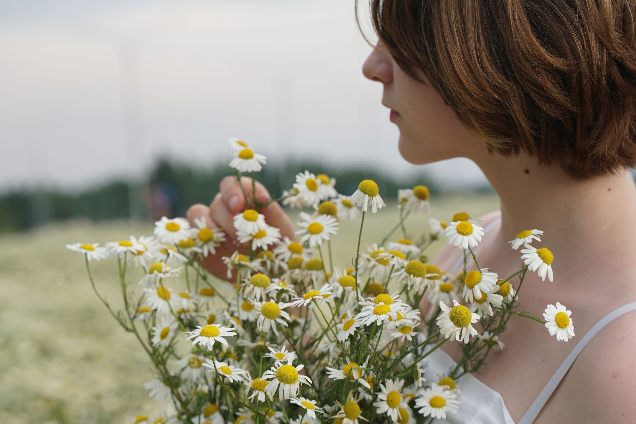 Фотосессия в ромашковом поле. Фотограф Наталья Погодина в г. Обнинске