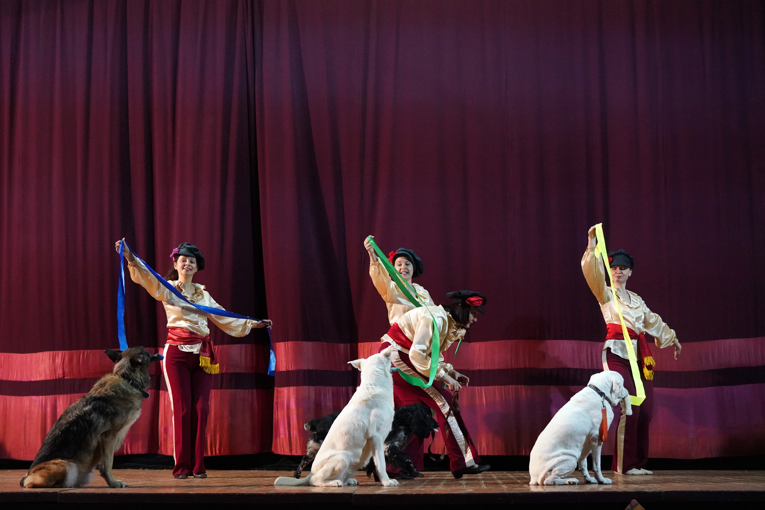 Цирк дрессированных собак. Фотограф Наталья Погодина в г. Обнинске