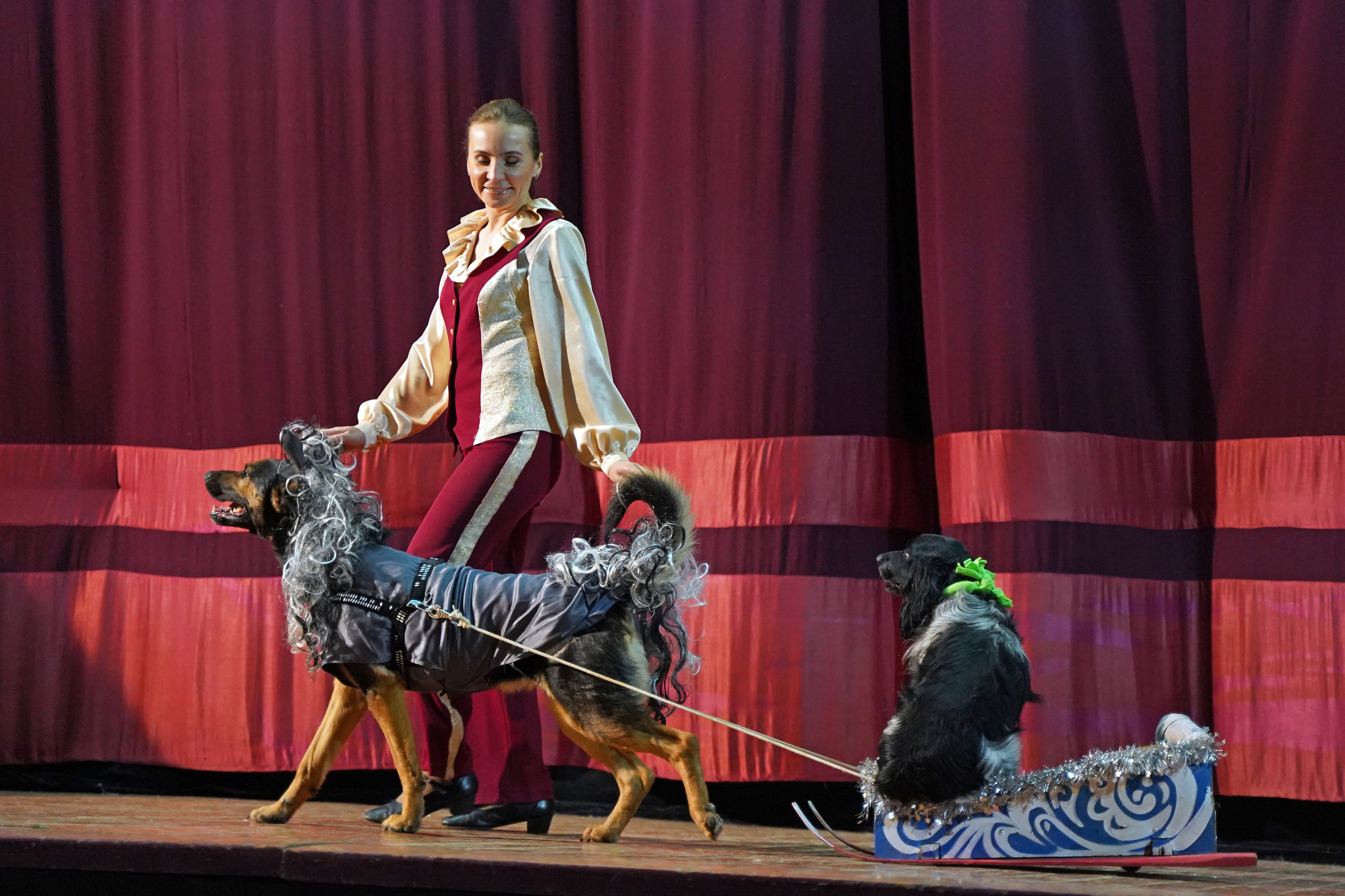 Цирк дрессированных собак. Фотограф Наталья Погодина в г. Обнинске