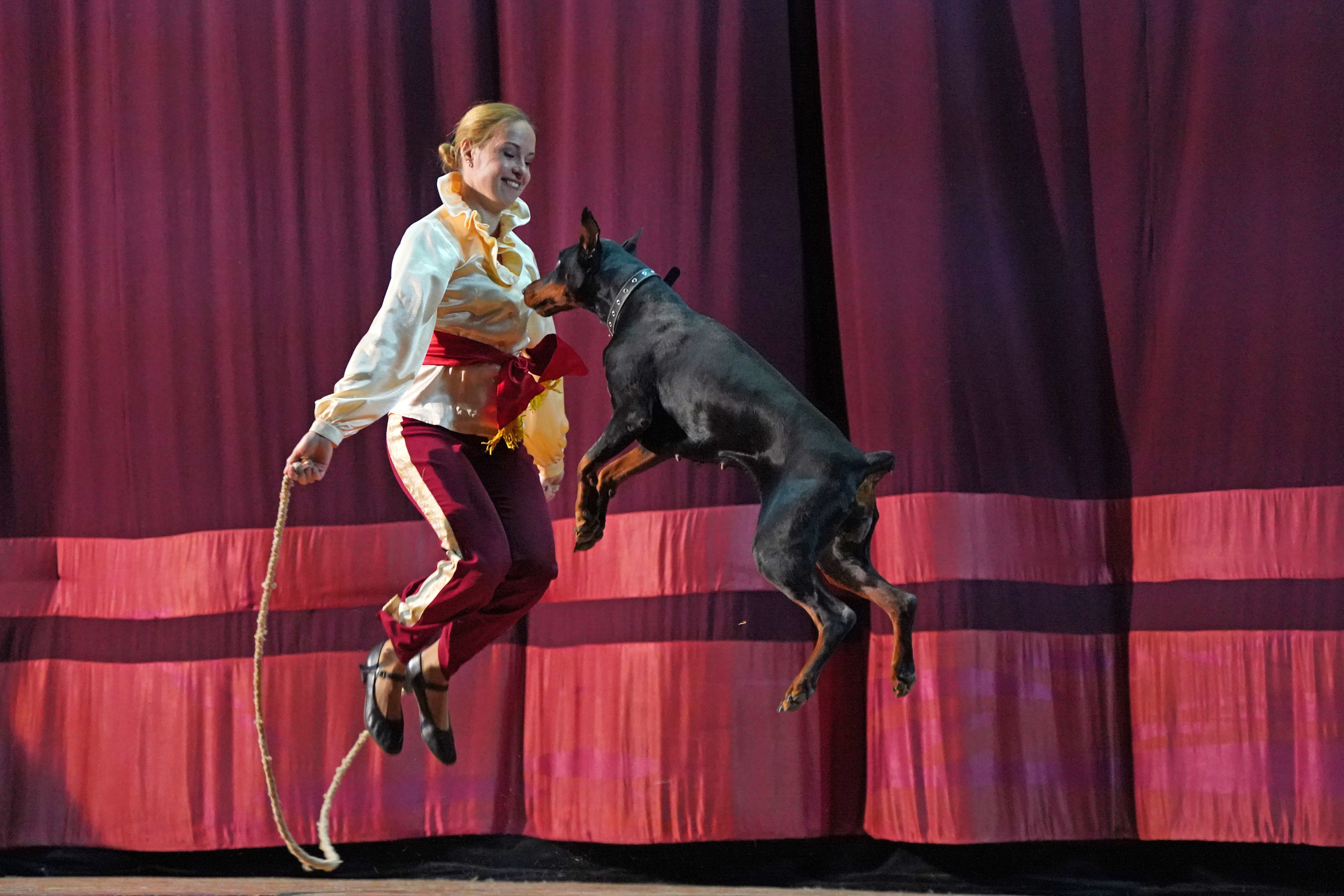 Цирк дрессированных собак. Фотограф Наталья Погодина в г. Обнинске