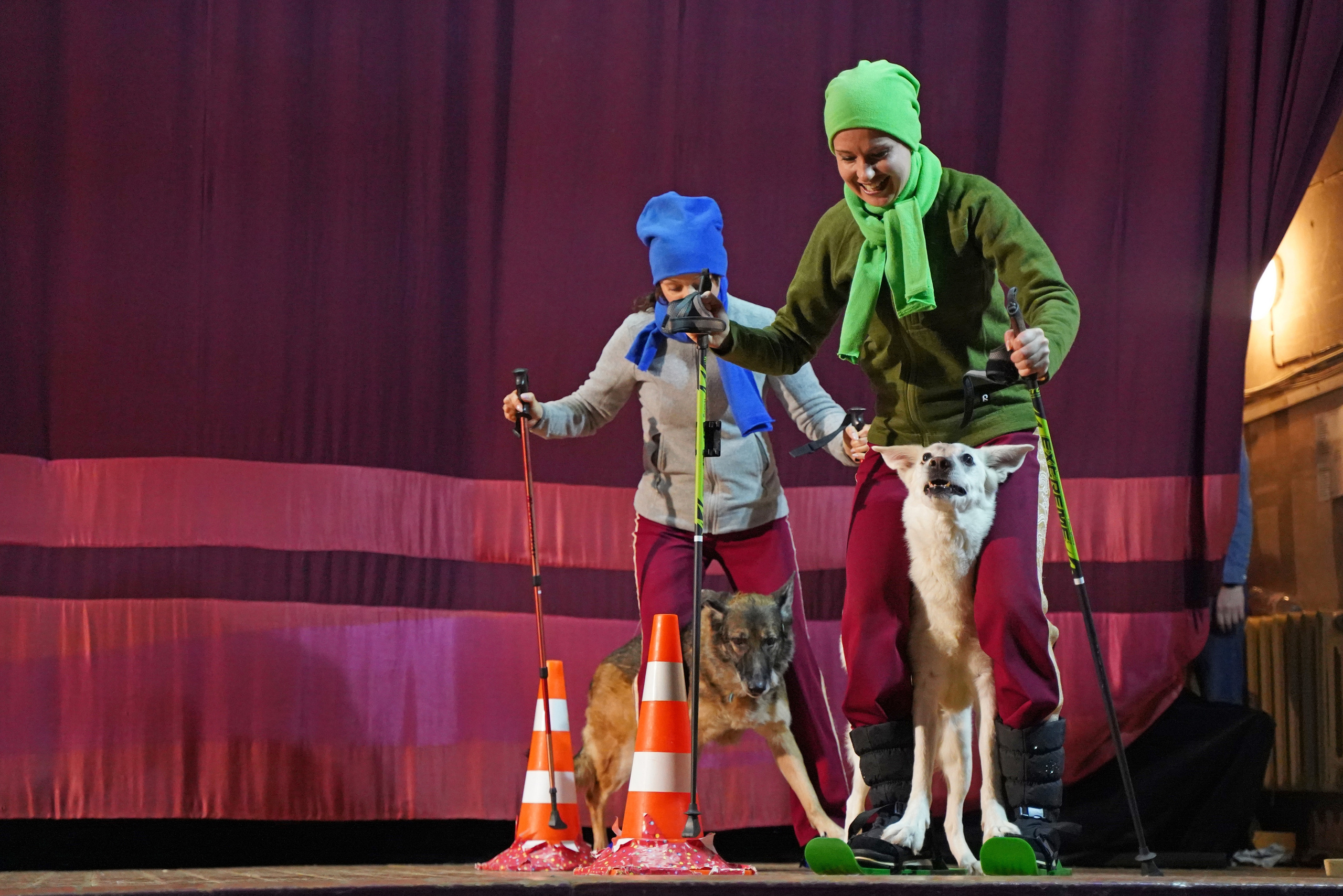 Цирк дрессированных собак. Фотограф Наталья Погодина в г. Обнинске