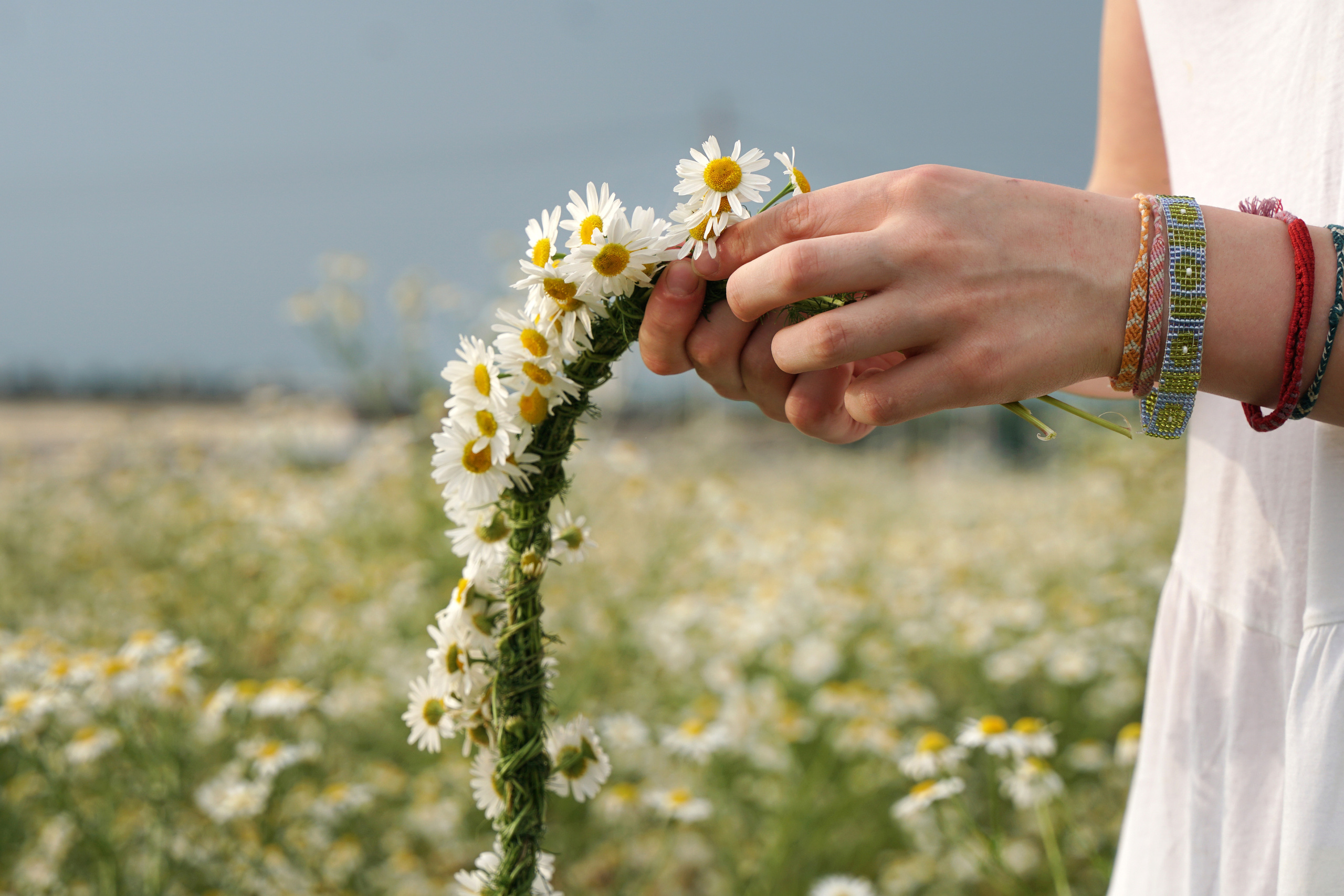Фотосессия в ромашковом поле. Фотограф Наталья Погодина в г. Обнинске