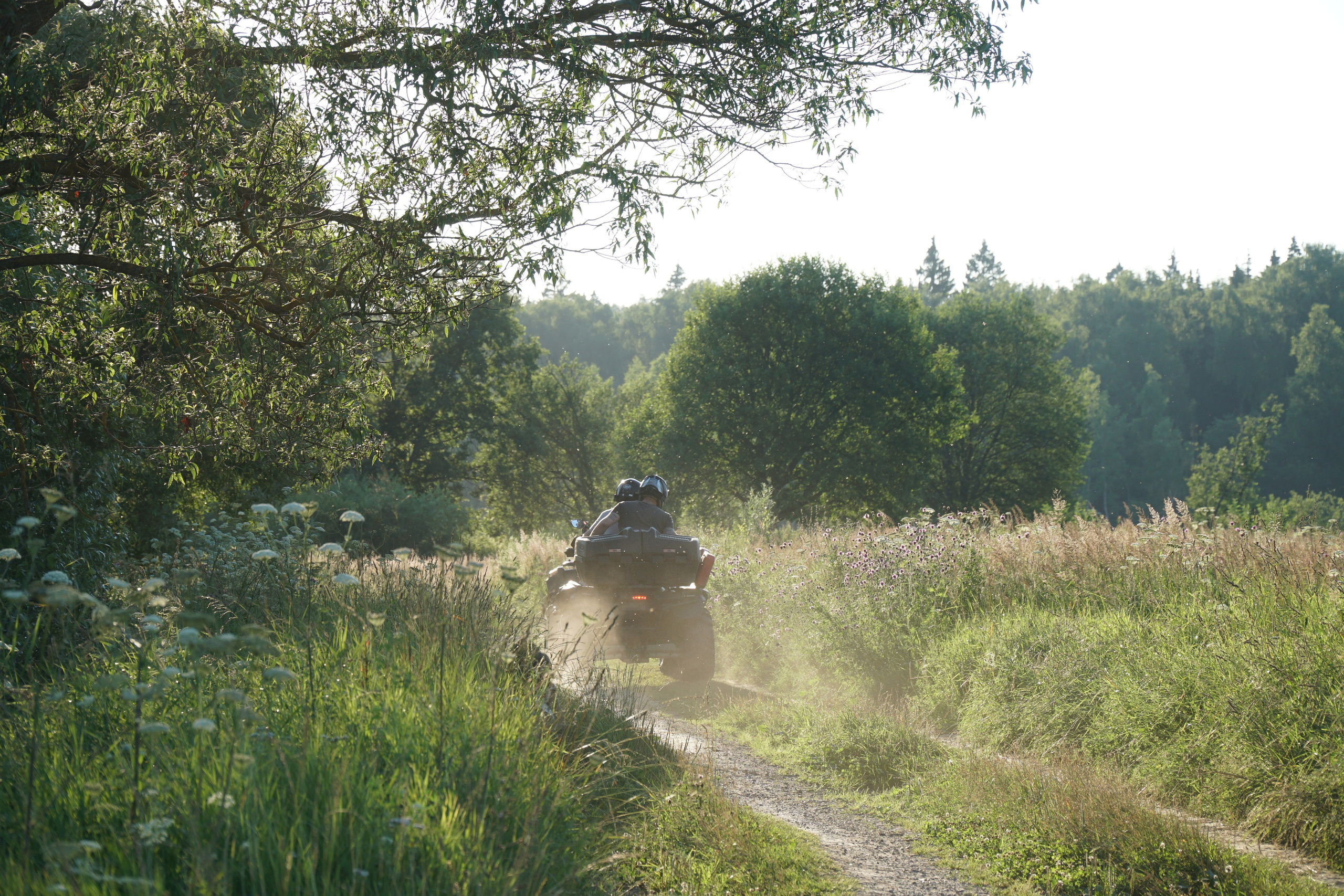 Летняя семейная фотопрогулка. Фотограф Наталья Погодина в г. Обнинске