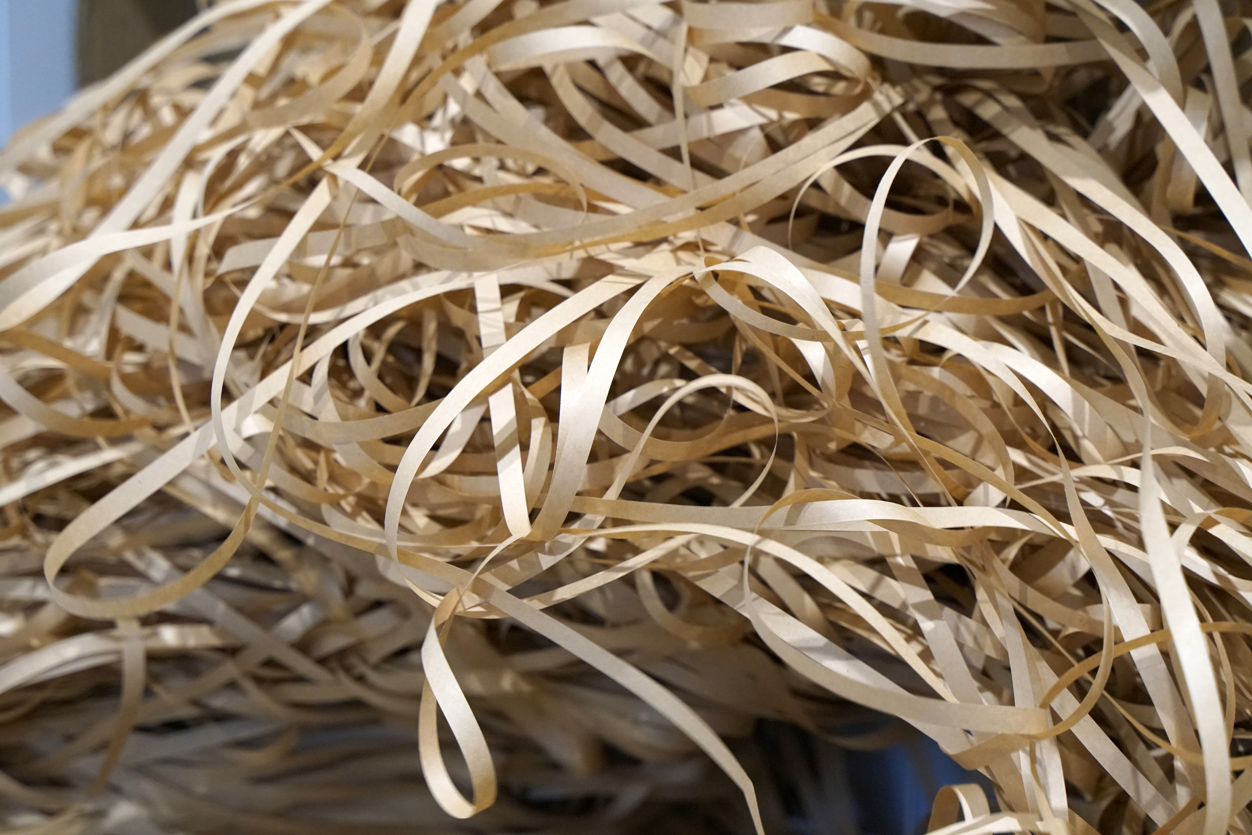 Экскурсия в усадьбу Полотный завод и на бумажную фабрику. Фотограф Наталья Погодина в г. Обнинске