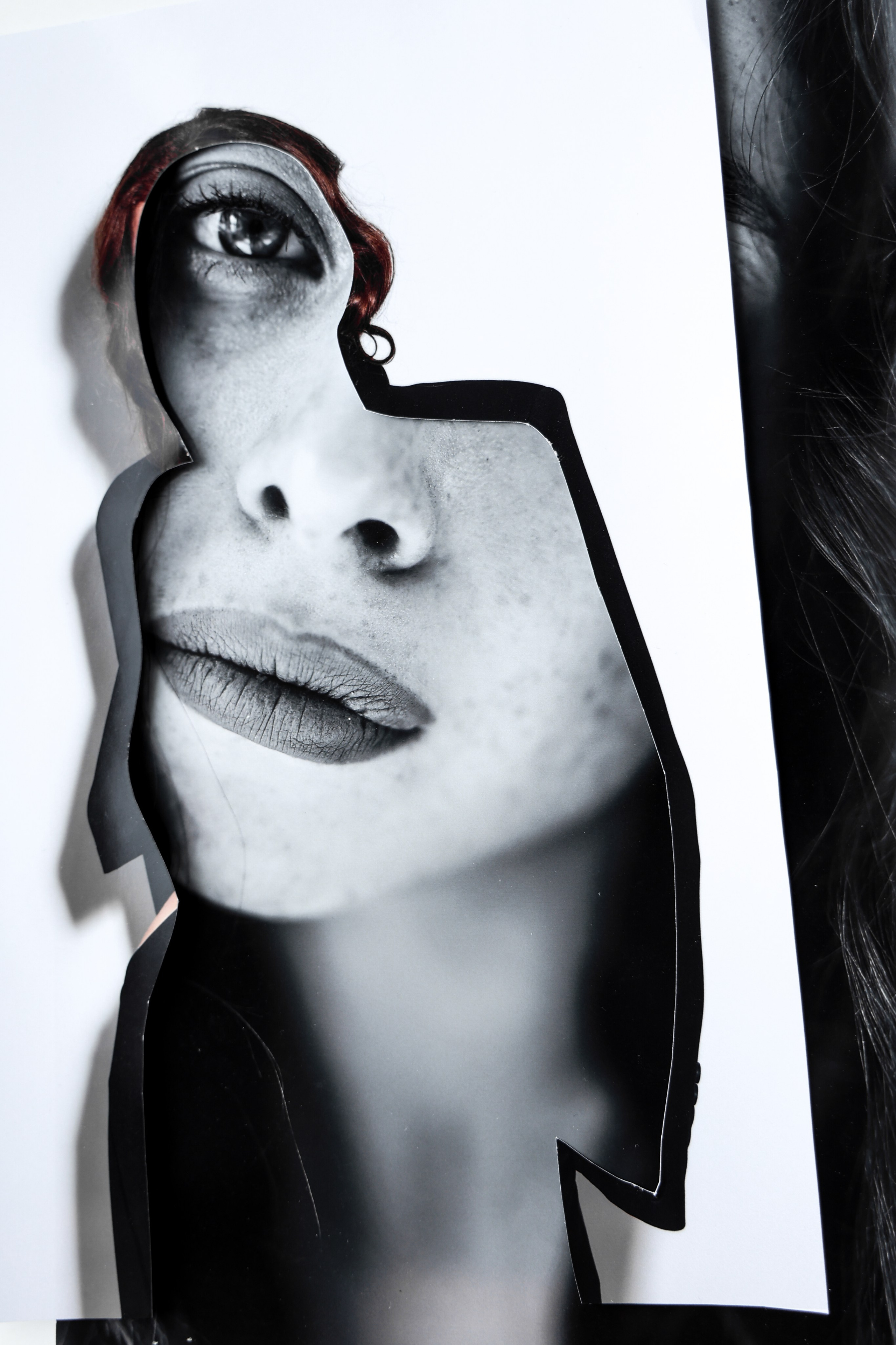 Коллажи/выставки. Фотограф в Москве Анастасия Курлович