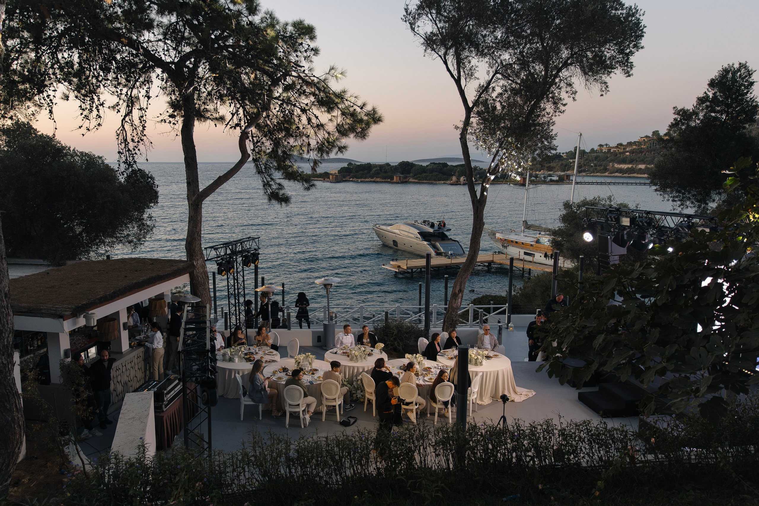 Алиса | Антон