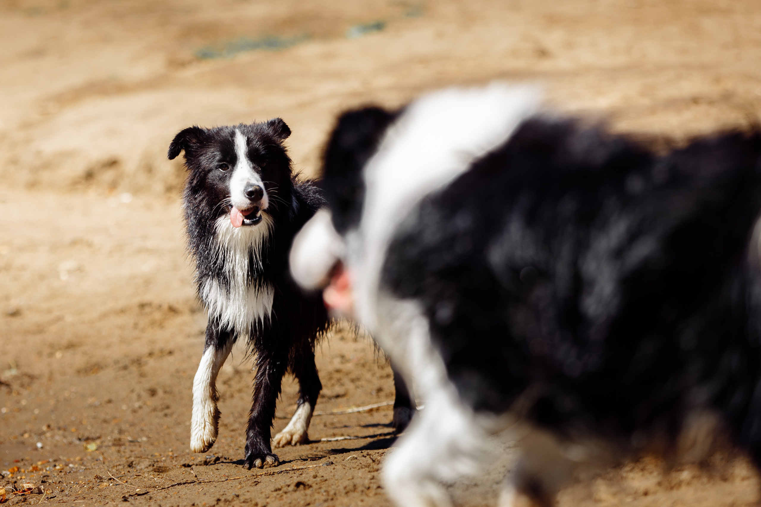 Водяные в Новотроицке. О нас