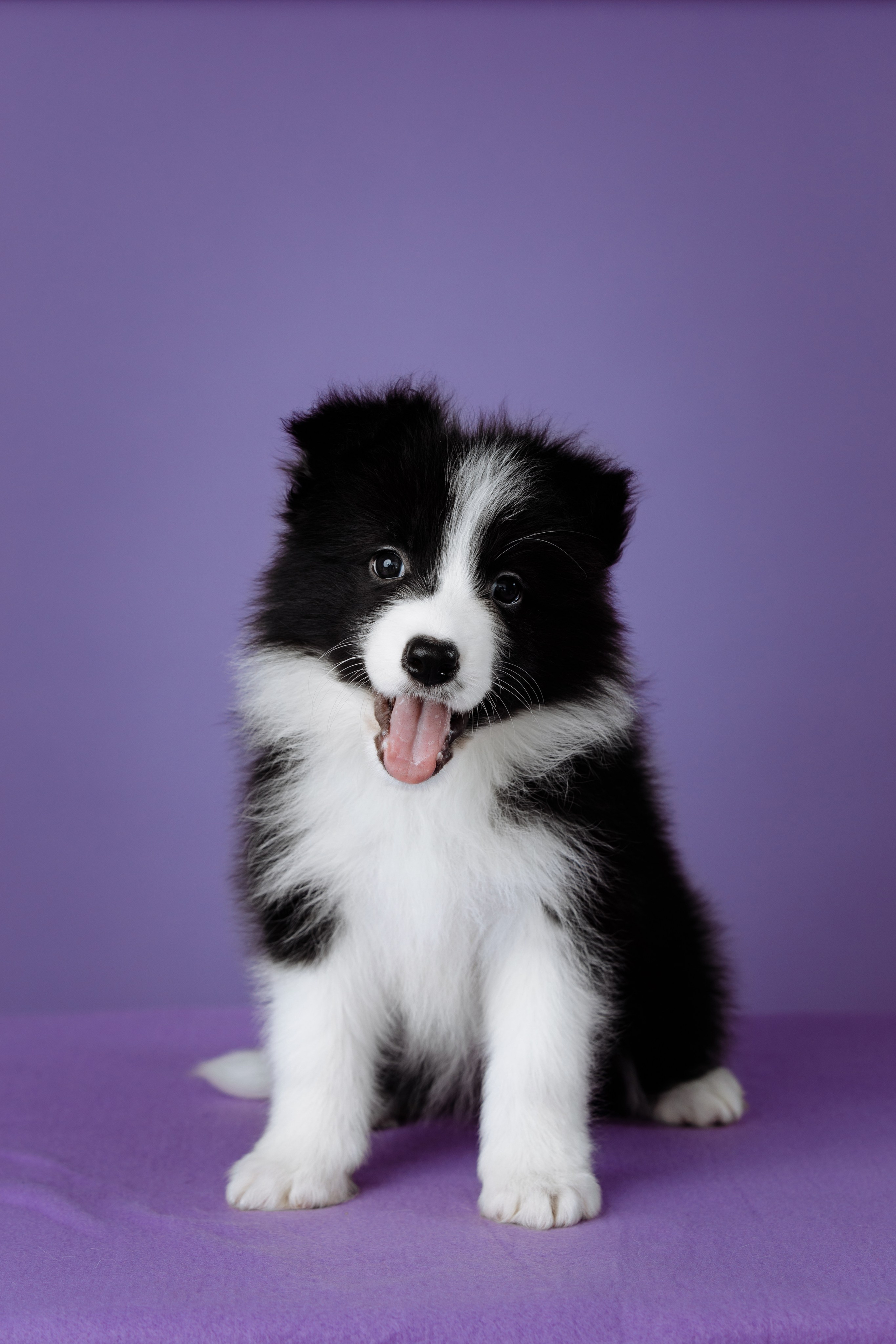 Март. Весна. 22. О нас